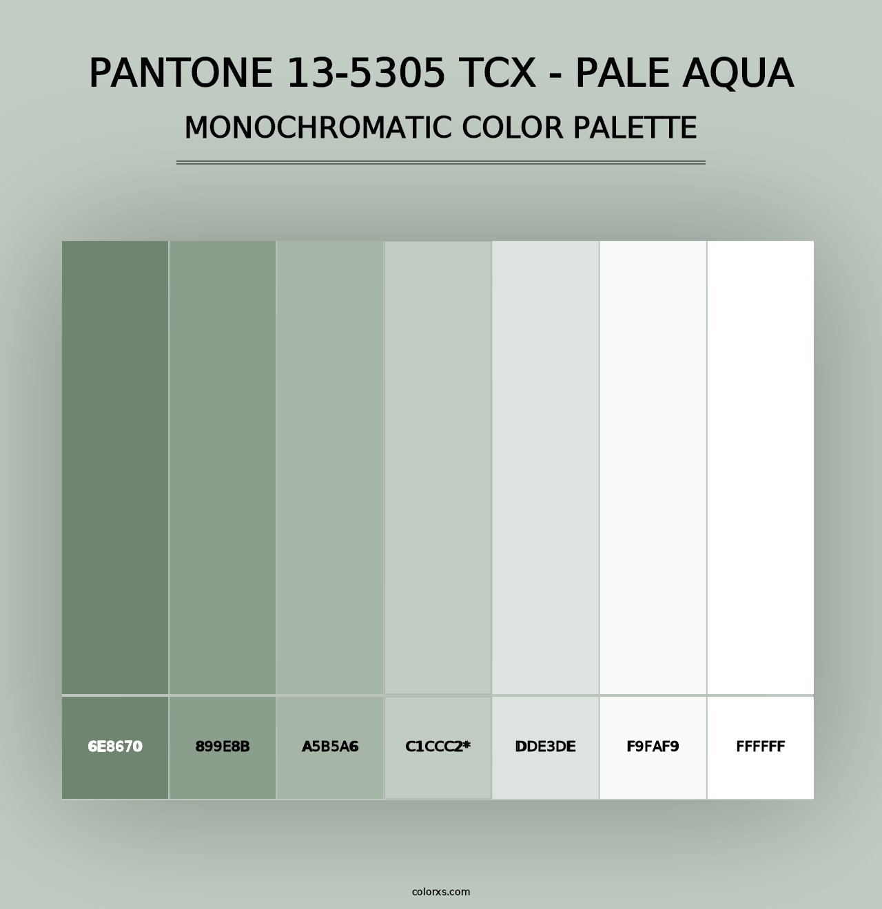 PANTONE 13-5305 TCX - Pale Aqua - Monochromatic Color Palette