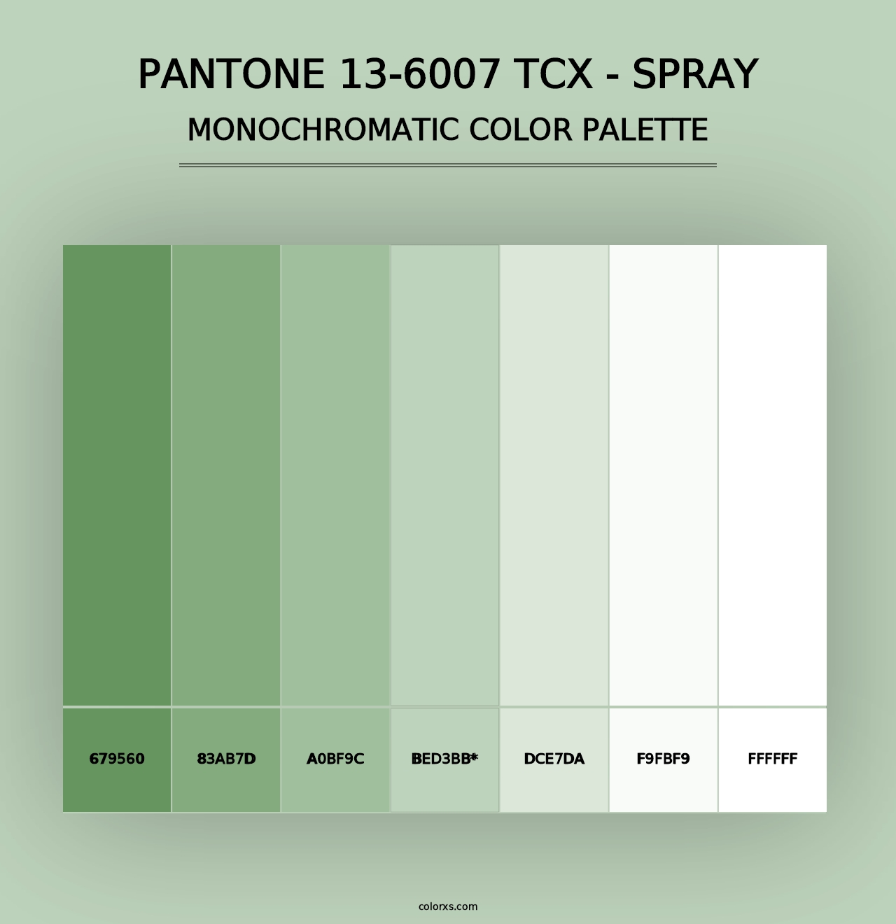 PANTONE 13-6007 TCX - Spray - Monochromatic Color Palette