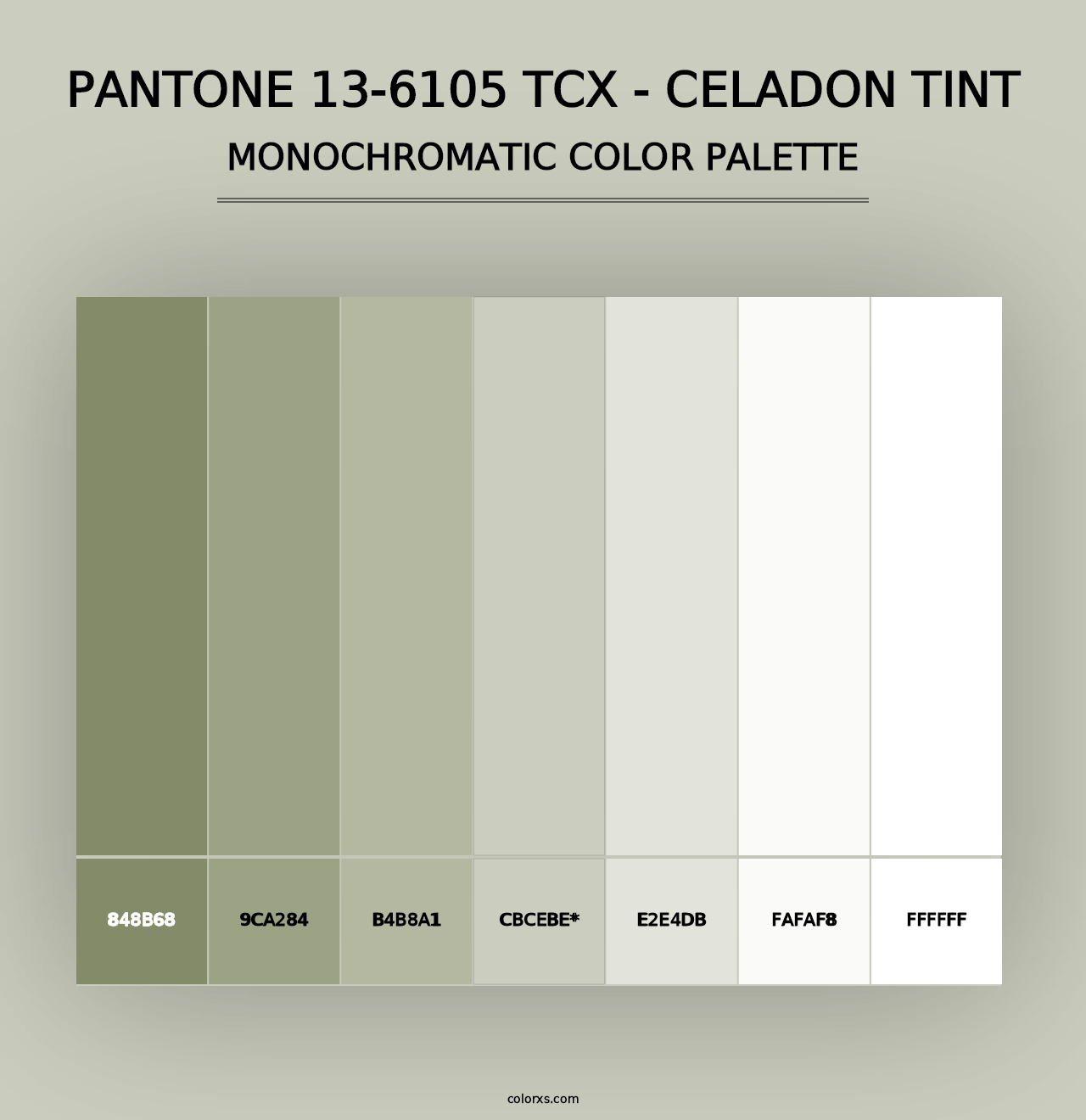 PANTONE 13-6105 TCX - Celadon Tint - Monochromatic Color Palette