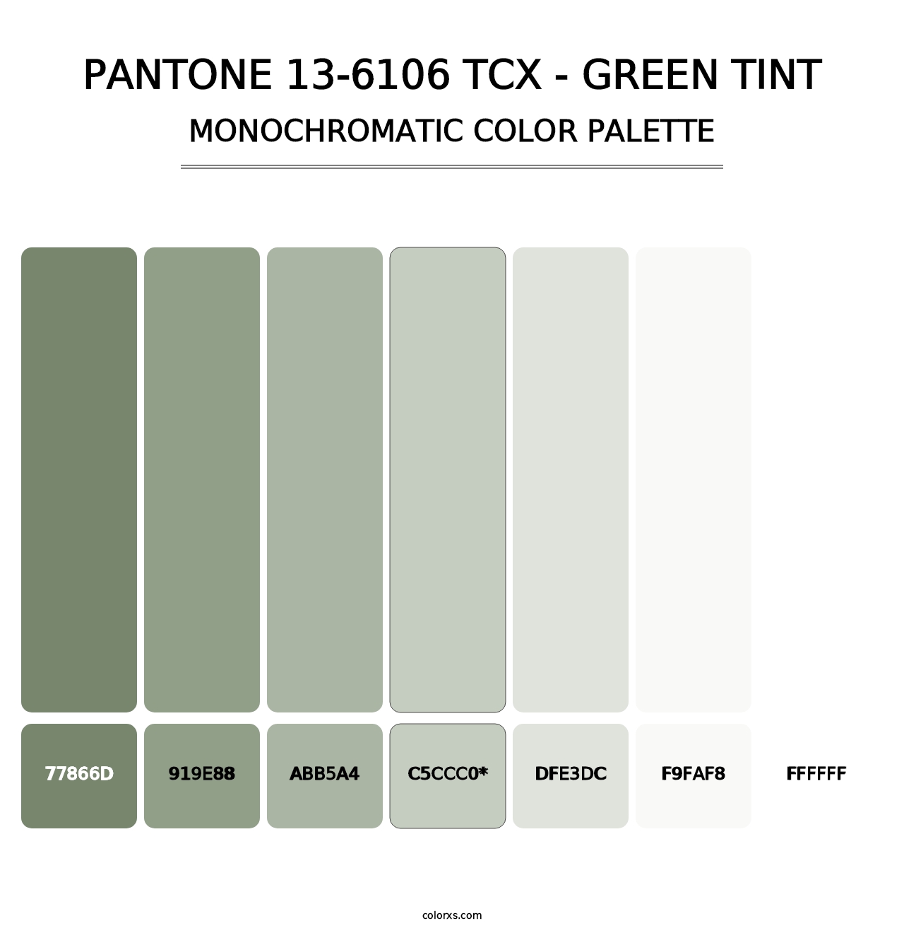 PANTONE 13-6106 TCX - Green Tint - Monochromatic Color Palette