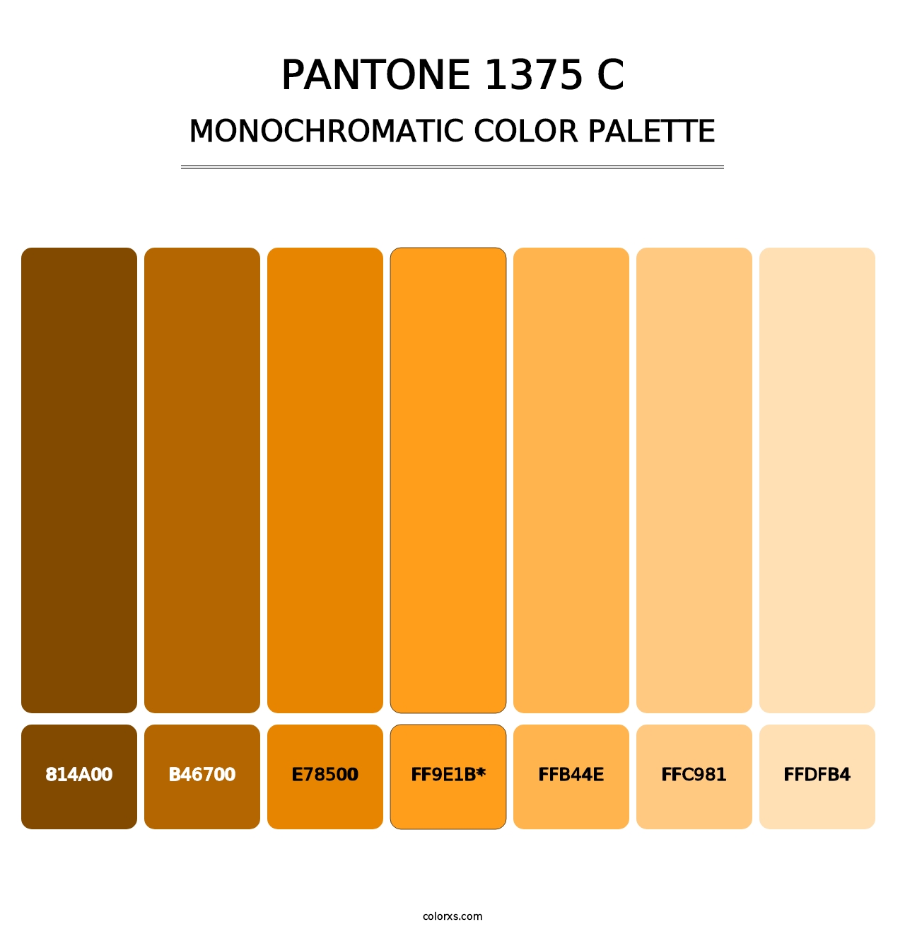 PANTONE 1375 C - Monochromatic Color Palette