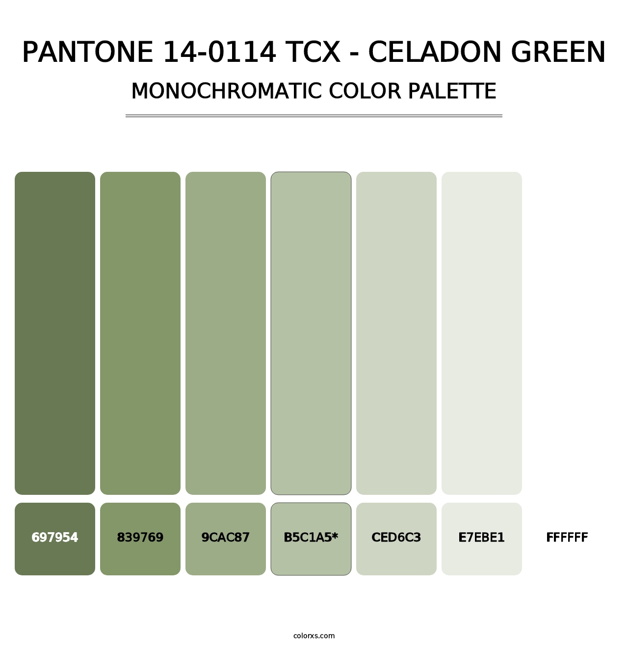 PANTONE 14-0114 TCX - Celadon Green - Monochromatic Color Palette