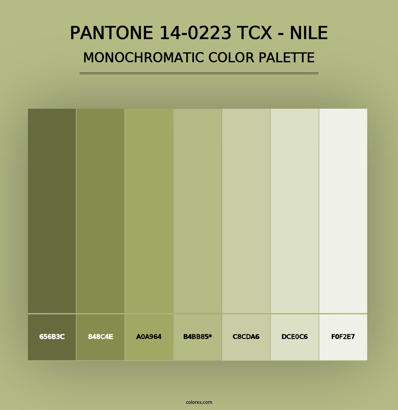 PANTONE 14-0223 TCX - Nile - Monochromatic Color Palette