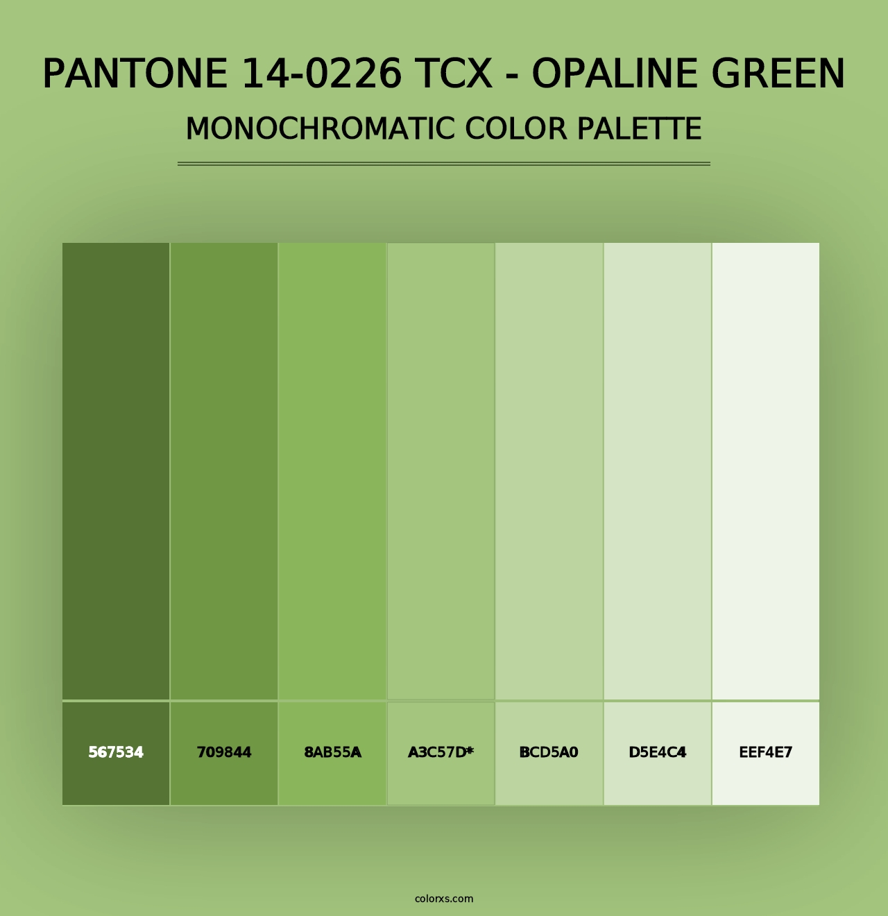 PANTONE 14-0226 TCX - Opaline Green - Monochromatic Color Palette