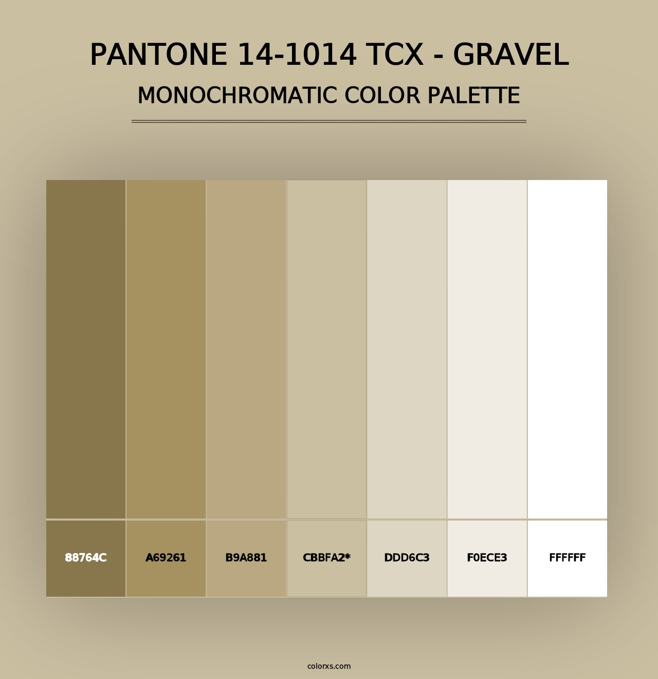 PANTONE 14-1014 TCX - Gravel - Monochromatic Color Palette