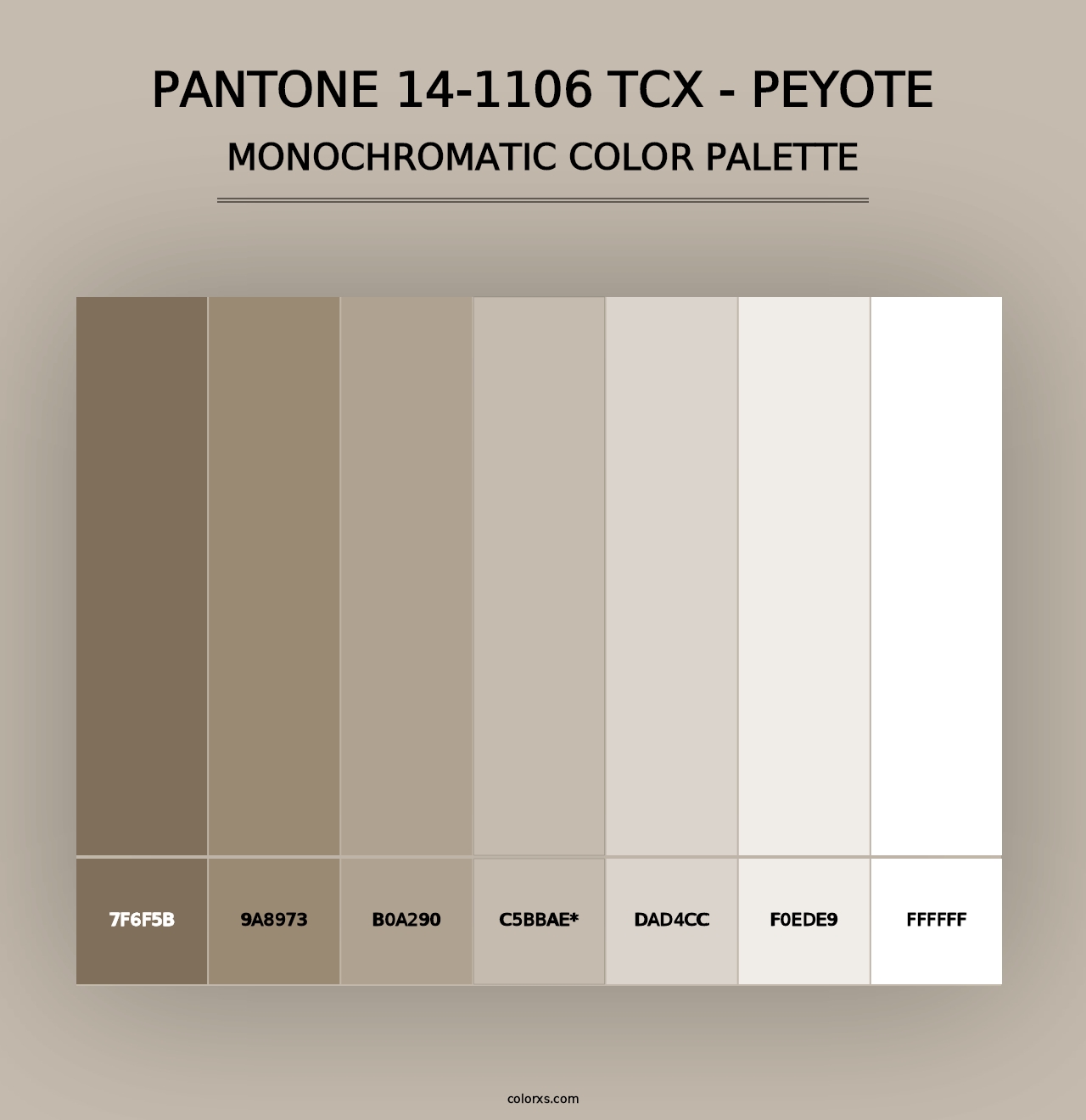 PANTONE 14-1106 TCX - Peyote - Monochromatic Color Palette