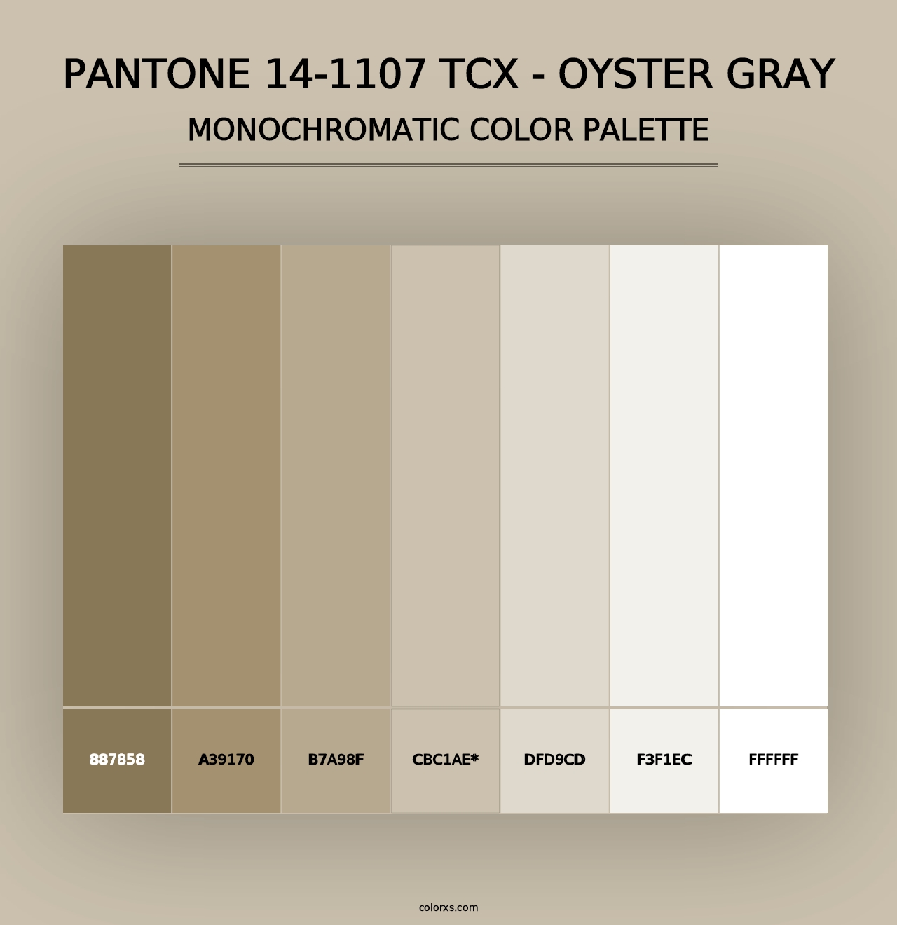 PANTONE 14-1107 TCX - Oyster Gray - Monochromatic Color Palette