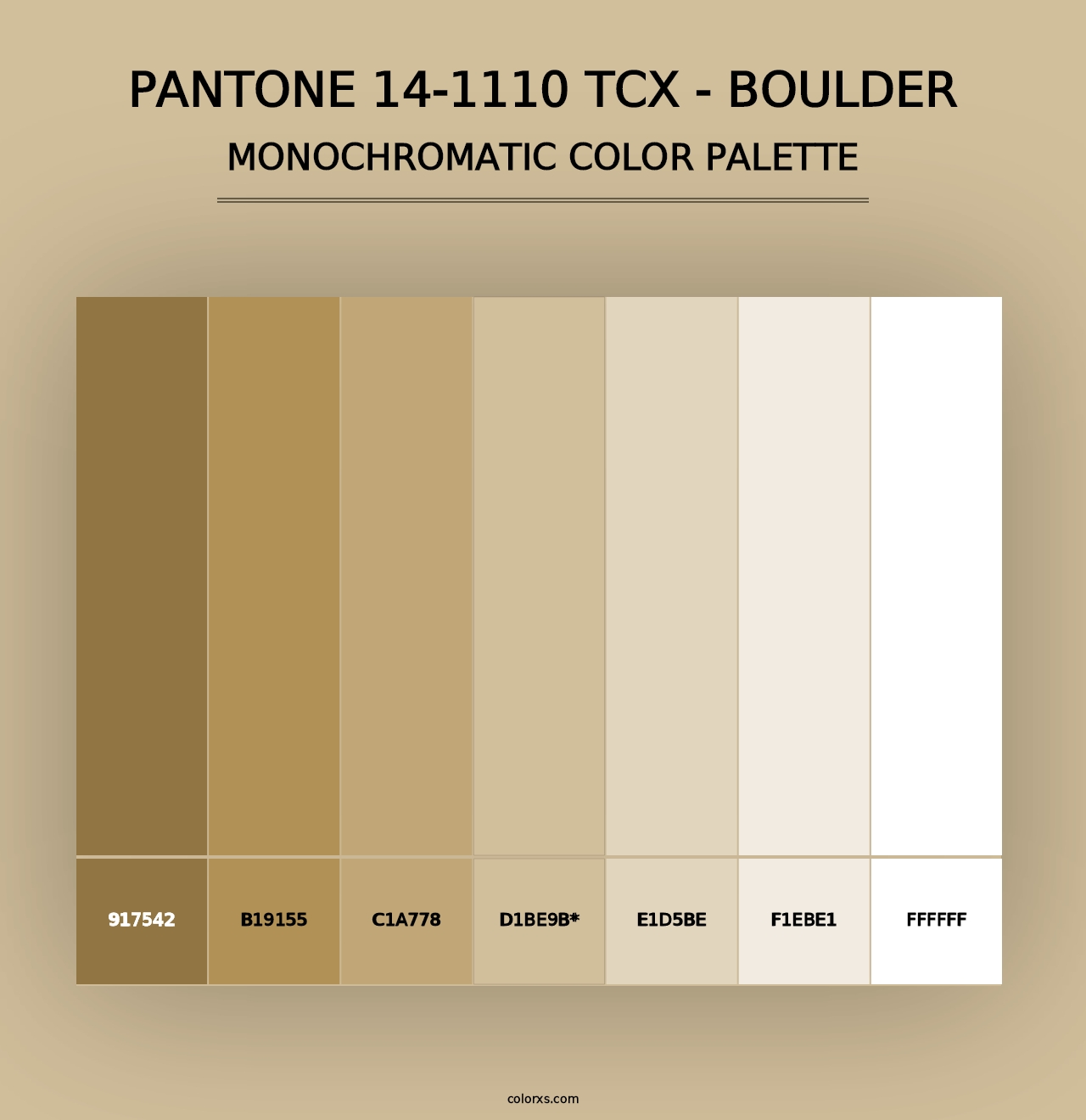 PANTONE 14-1110 TCX - Boulder - Monochromatic Color Palette