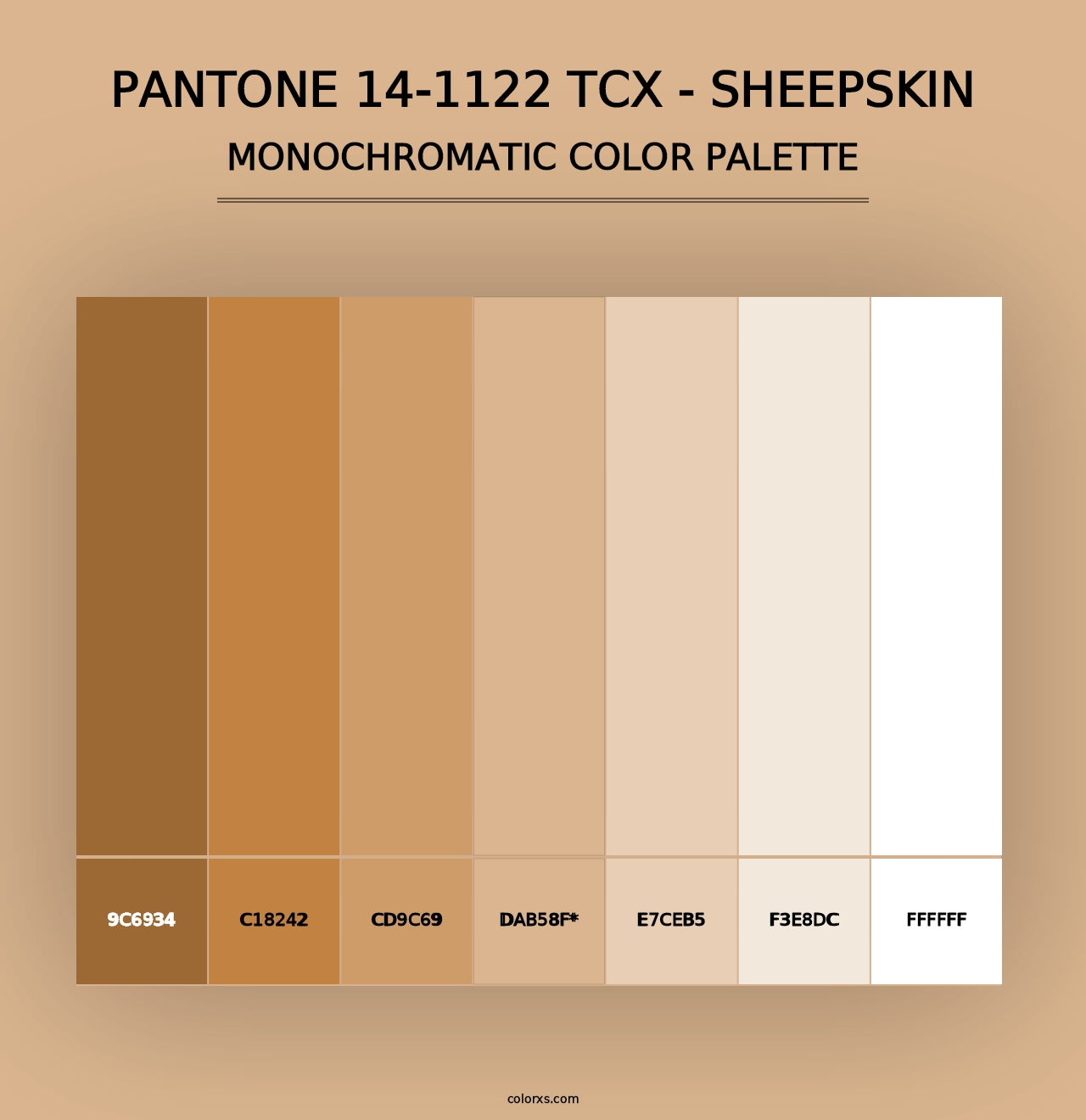 PANTONE 14-1122 TCX - Sheepskin - Monochromatic Color Palette