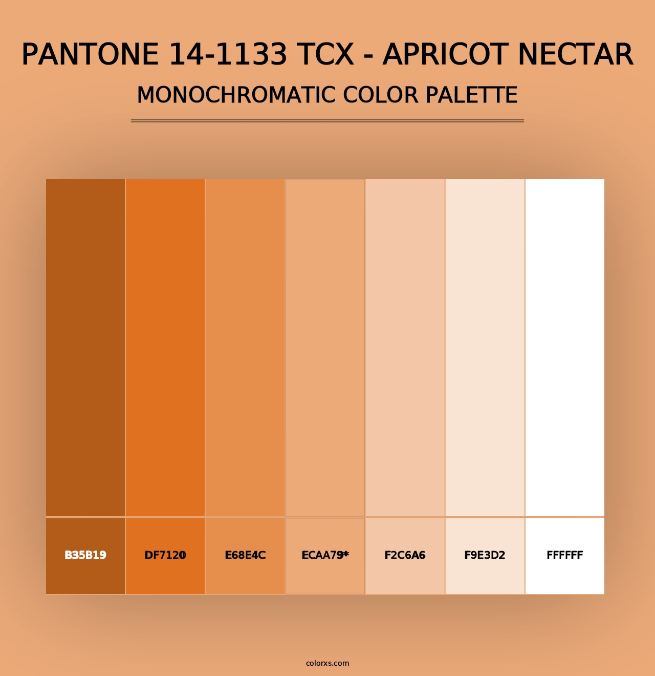 PANTONE 14-1133 TCX - Apricot Nectar - Monochromatic Color Palette