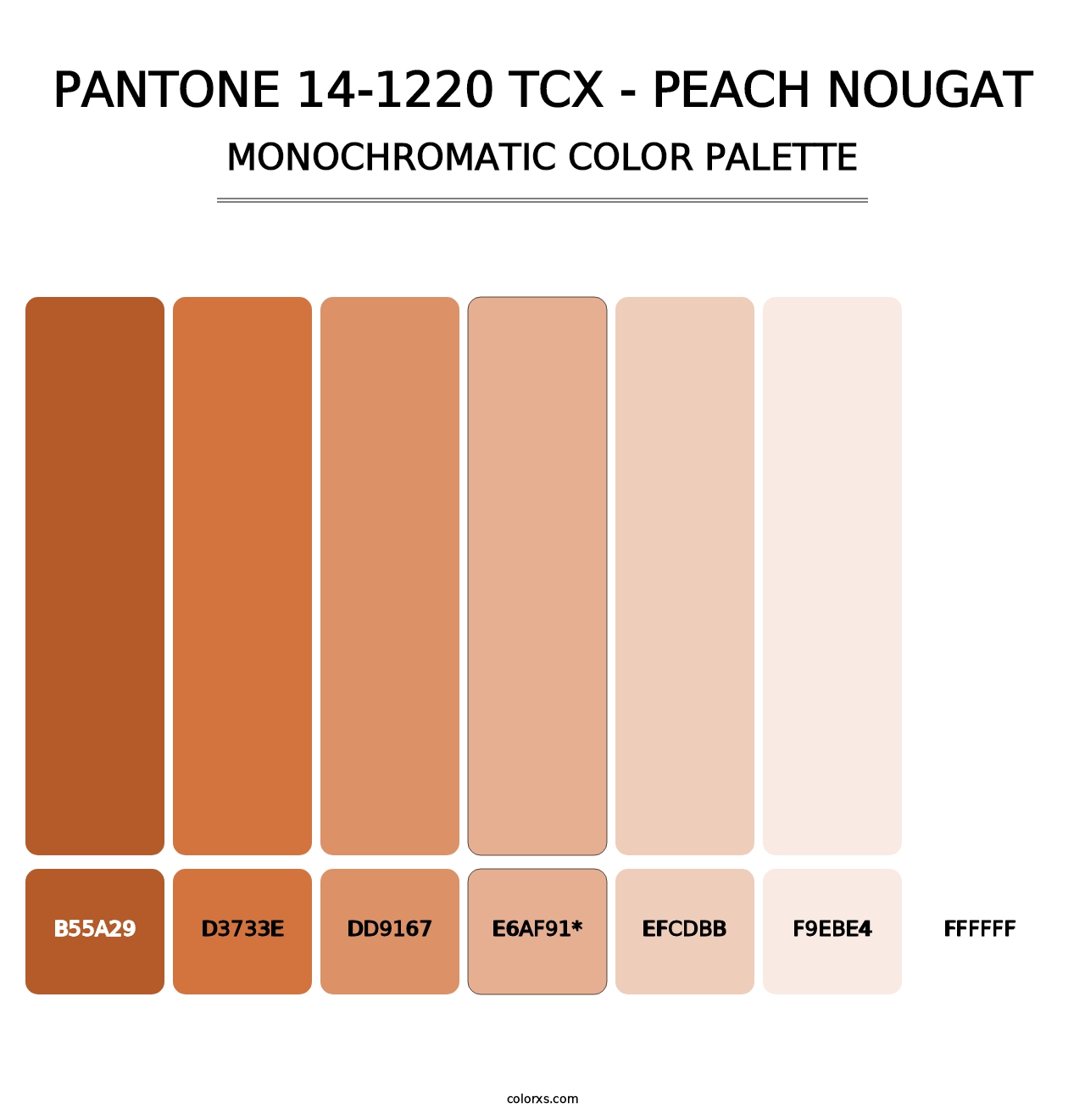 PANTONE 14-1220 TCX - Peach Nougat - Monochromatic Color Palette