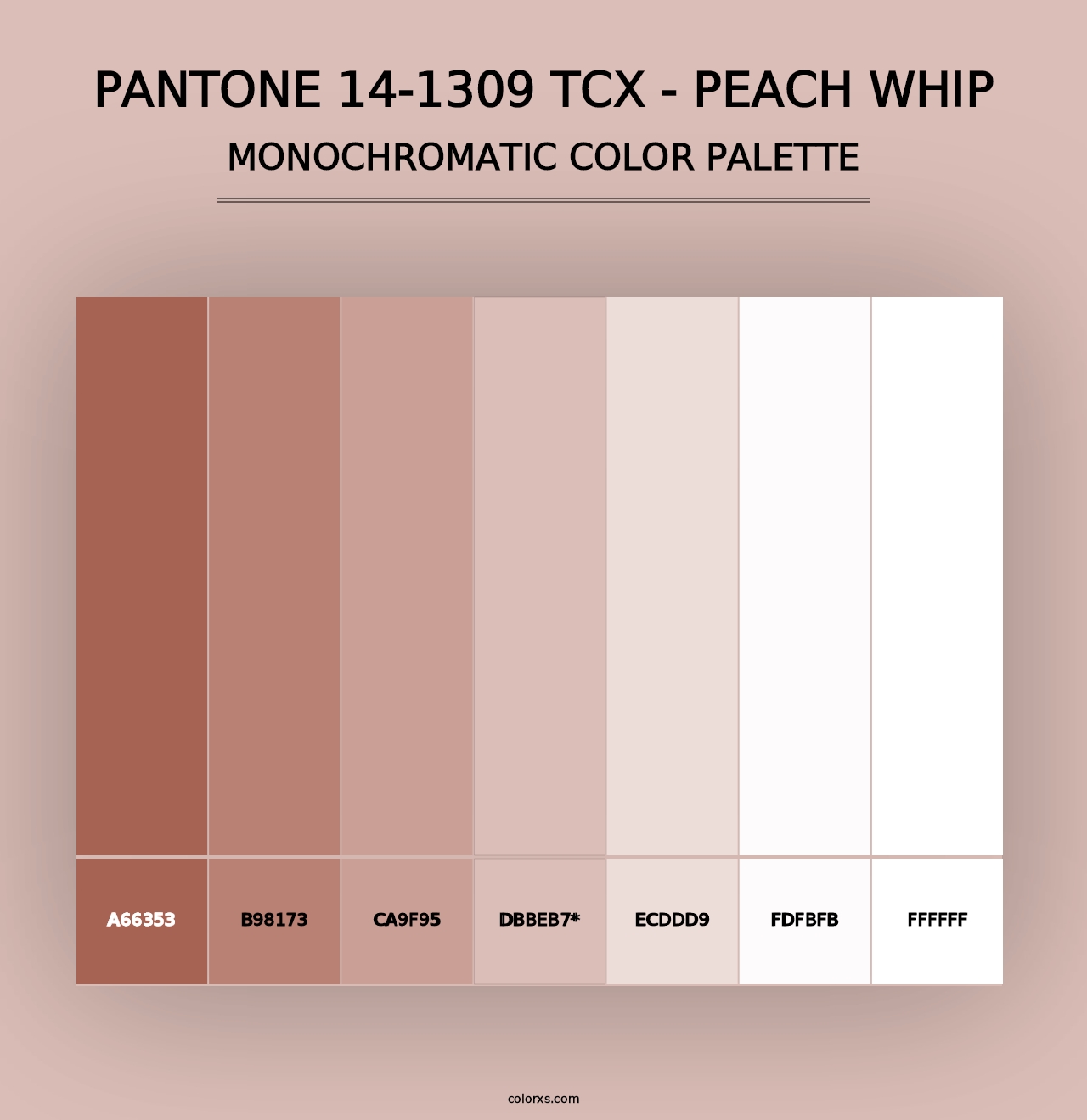 PANTONE 14-1309 TCX - Peach Whip - Monochromatic Color Palette