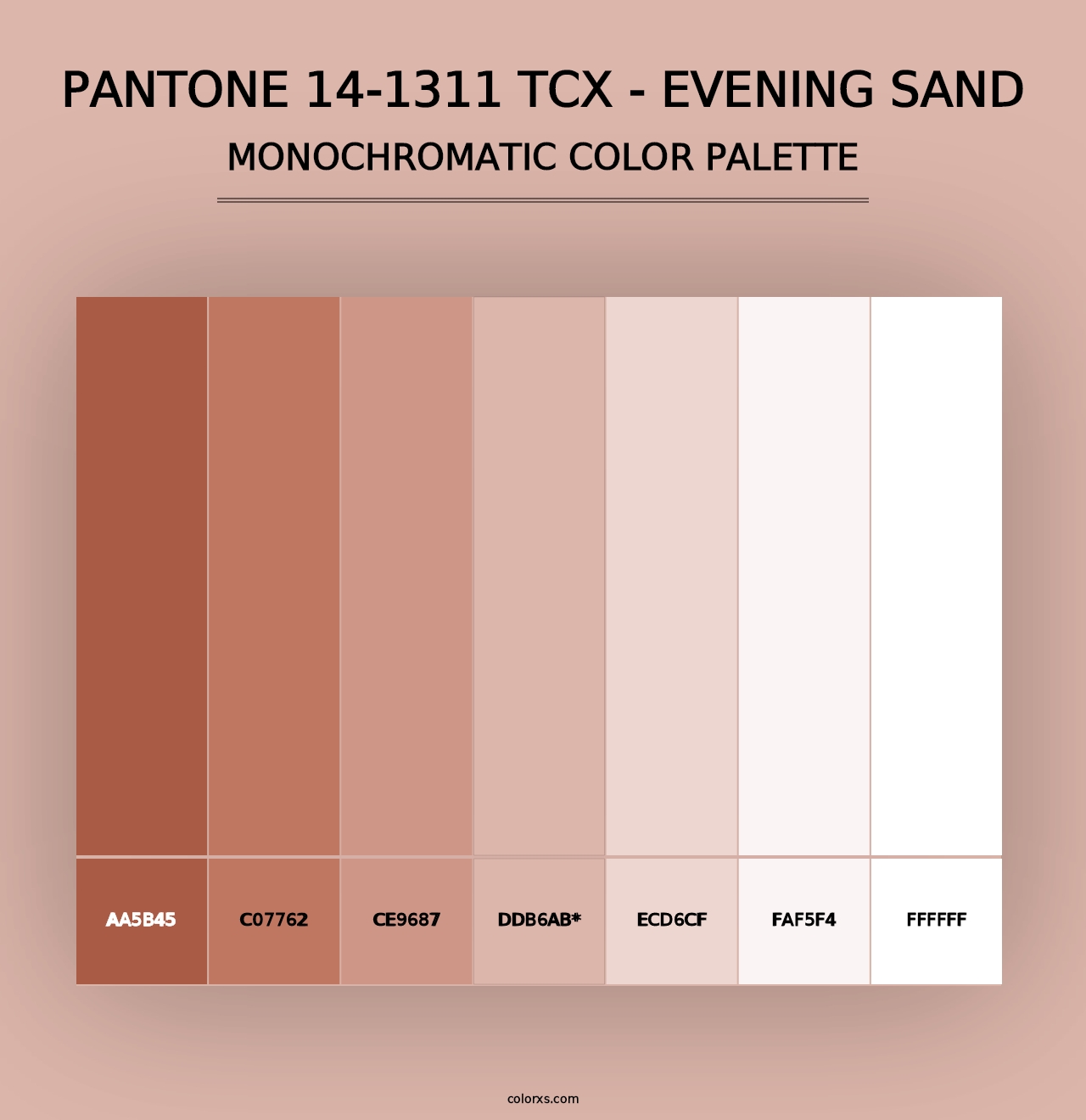 PANTONE 14-1311 TCX - Evening Sand - Monochromatic Color Palette