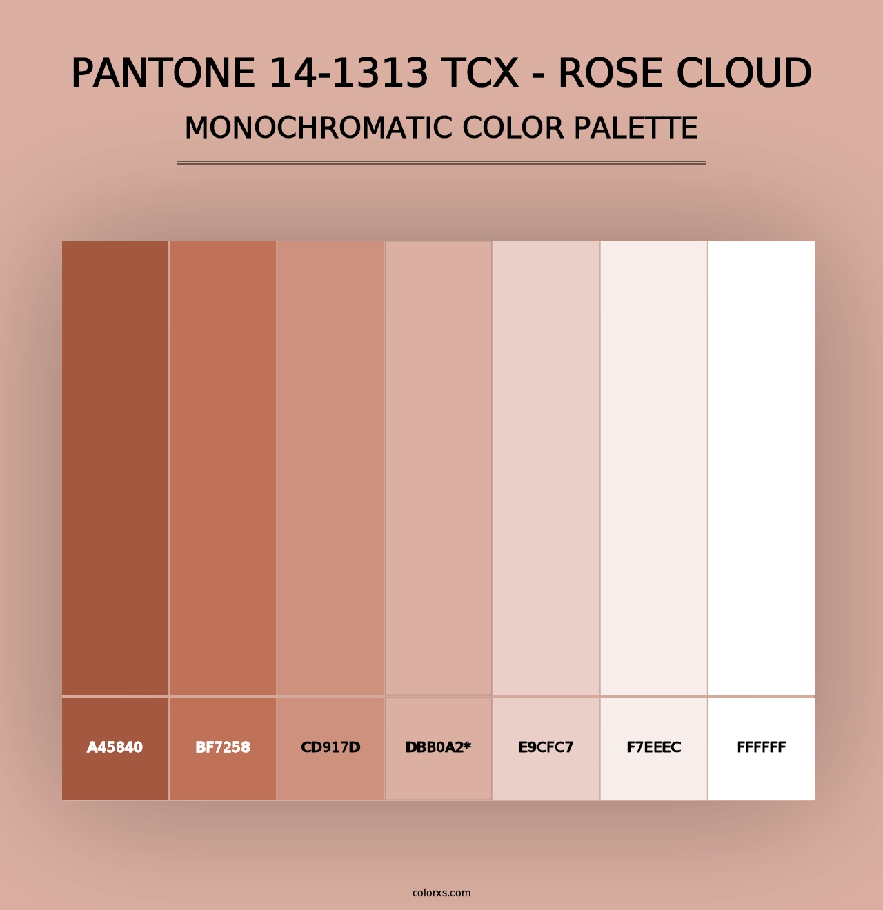 PANTONE 14-1313 TCX - Rose Cloud - Monochromatic Color Palette