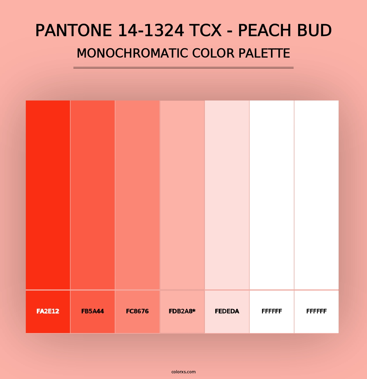 PANTONE 14-1324 TCX - Peach Bud - Monochromatic Color Palette