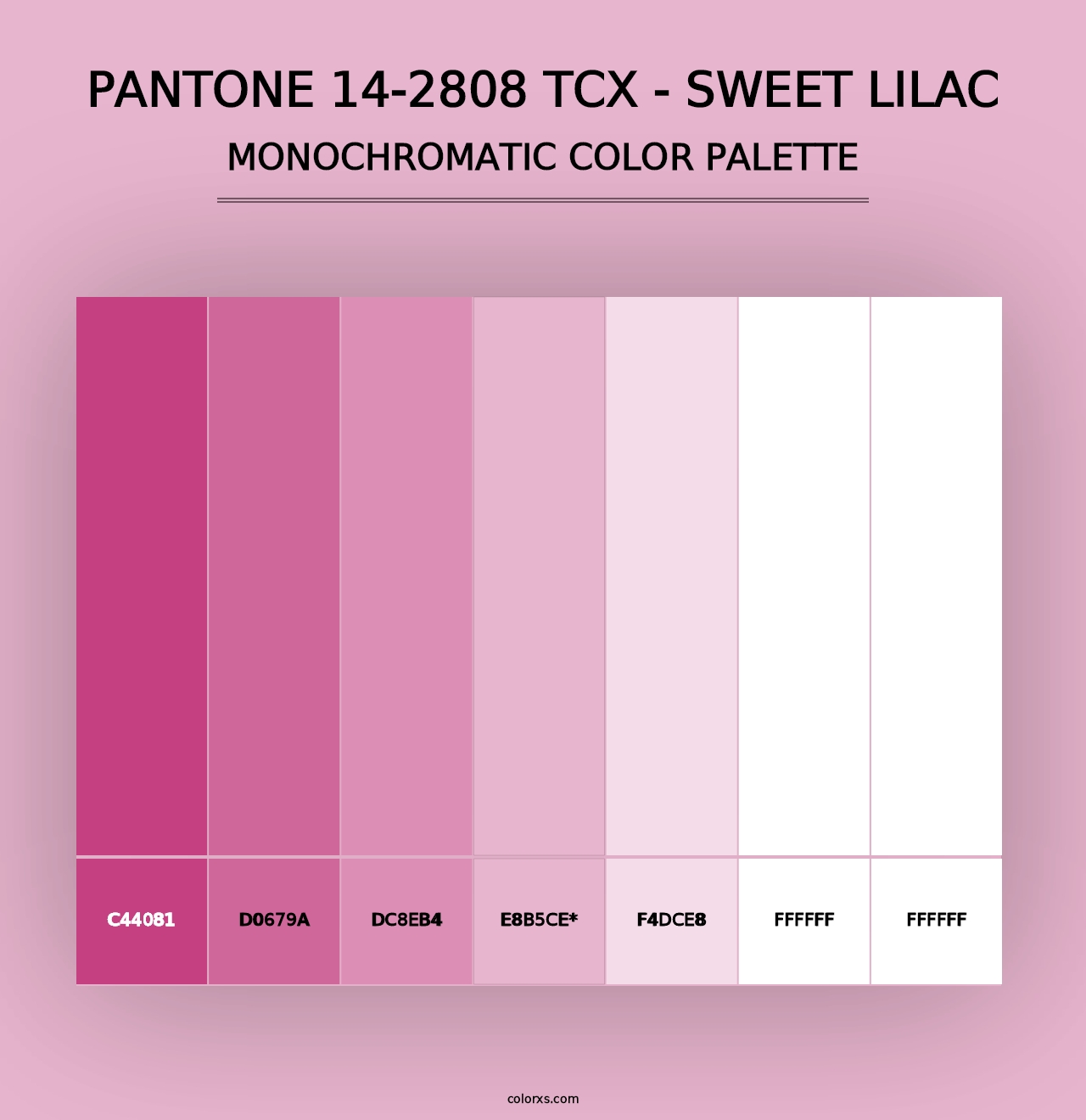 PANTONE 14-2808 TCX - Sweet Lilac - Monochromatic Color Palette