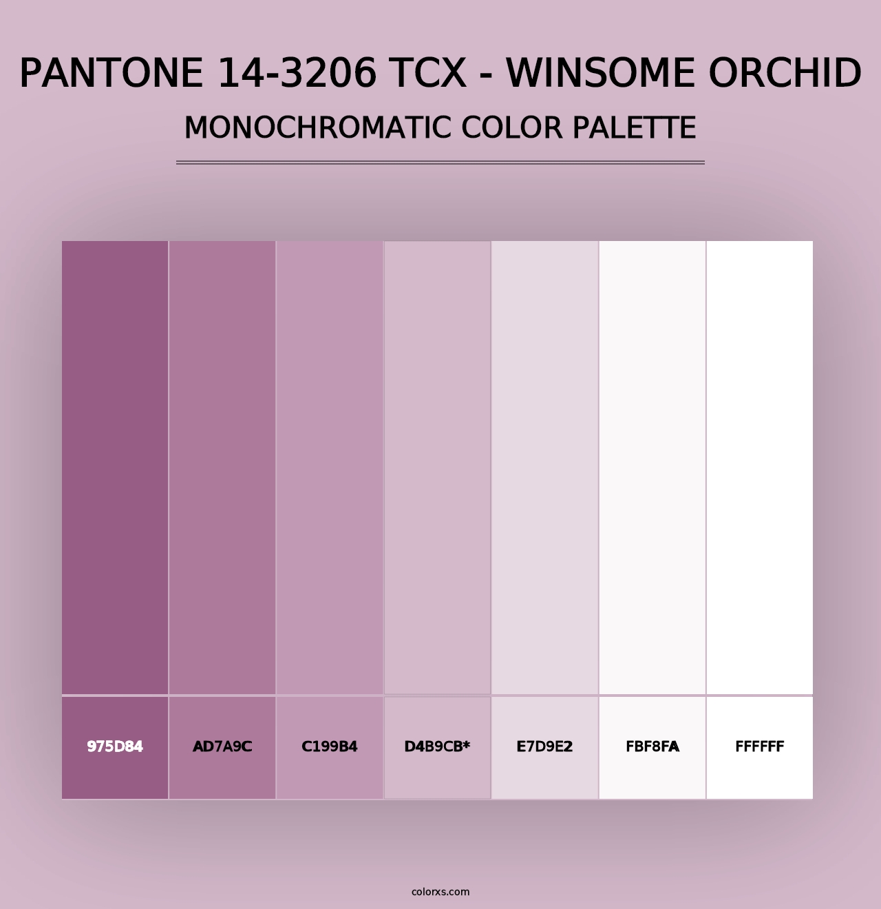 PANTONE 14-3206 TCX - Winsome Orchid - Monochromatic Color Palette