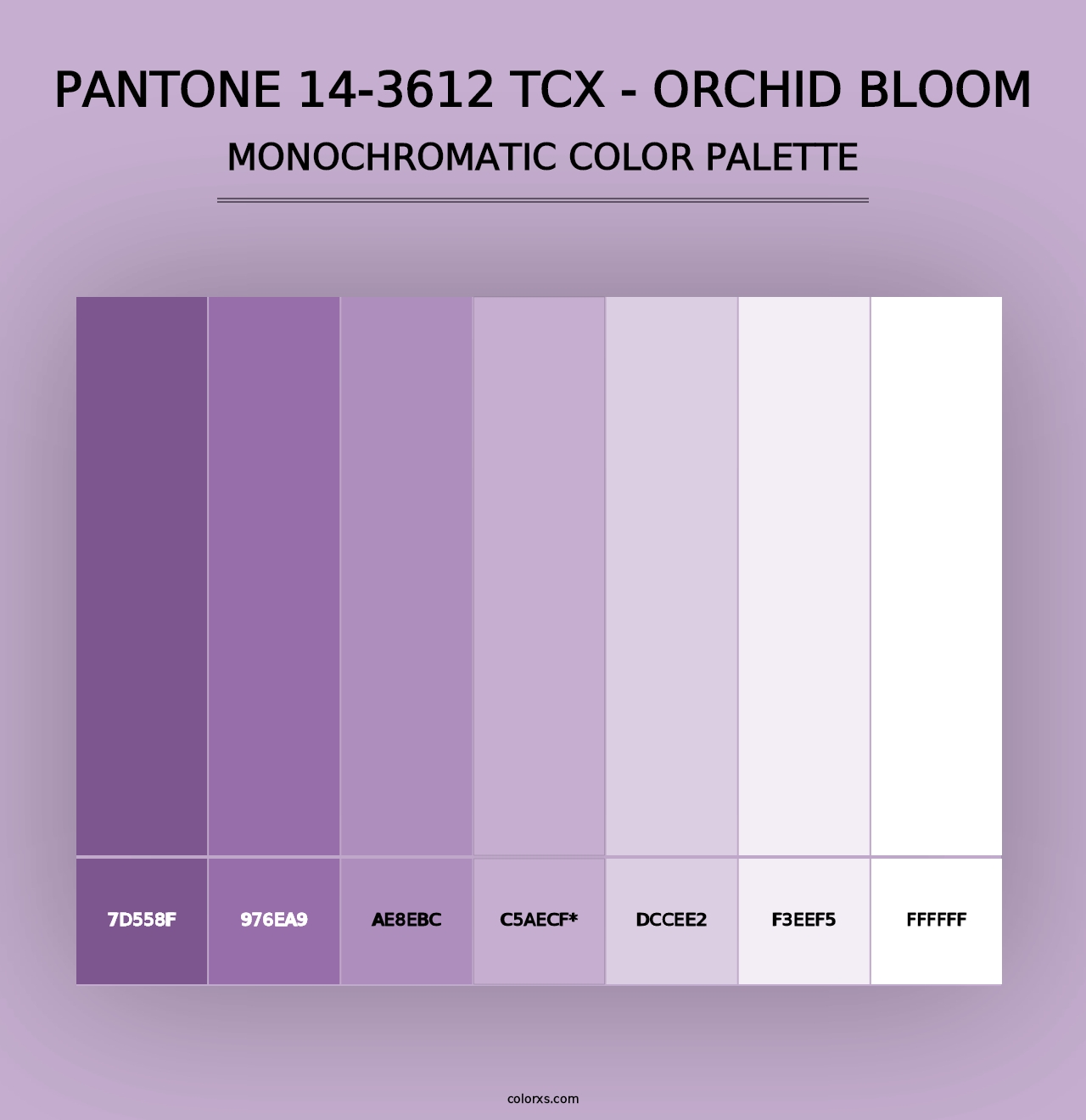 PANTONE 14-3612 TCX - Orchid Bloom color palettes - colorxs.com