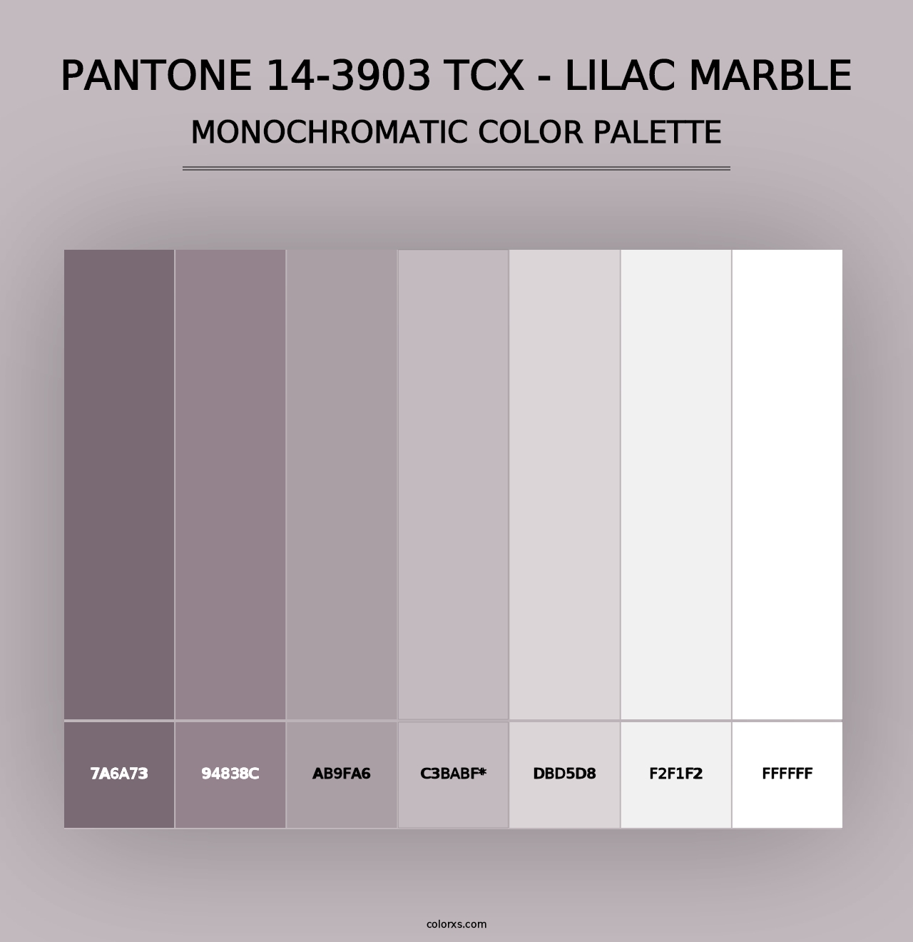 PANTONE 14-3903 TCX - Lilac Marble - Monochromatic Color Palette