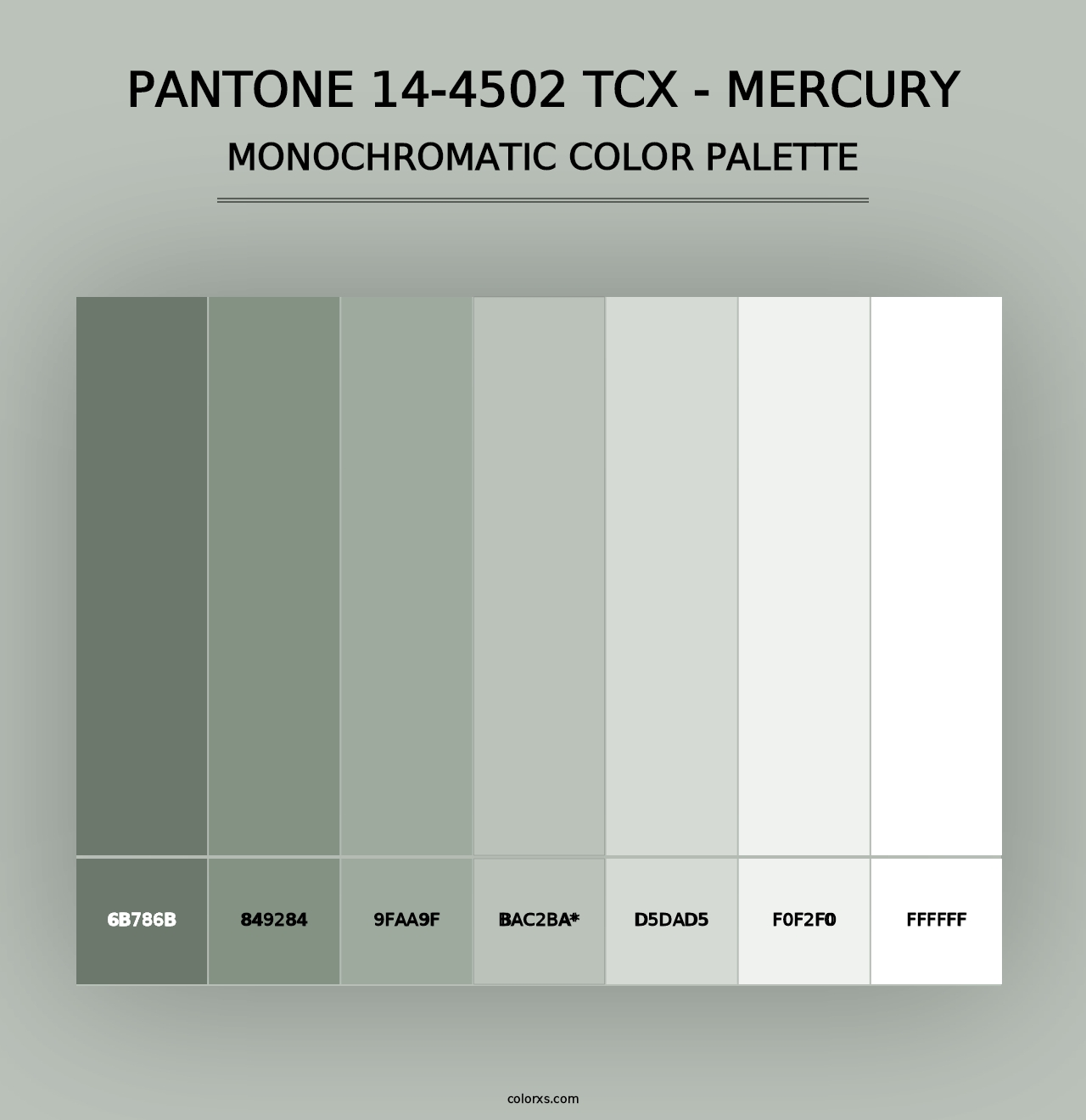 PANTONE 14-4502 TCX - Mercury - Monochromatic Color Palette