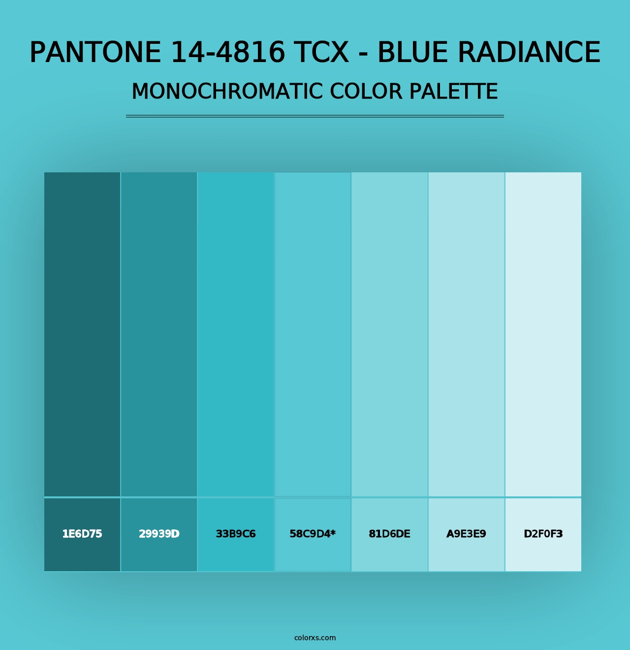 PANTONE 14-4816 TCX - Blue Radiance - Monochromatic Color Palette