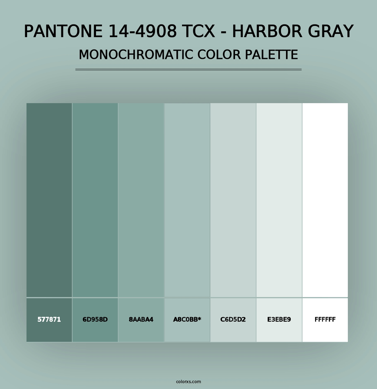 PANTONE 14-4908 TCX - Harbor Gray - Monochromatic Color Palette