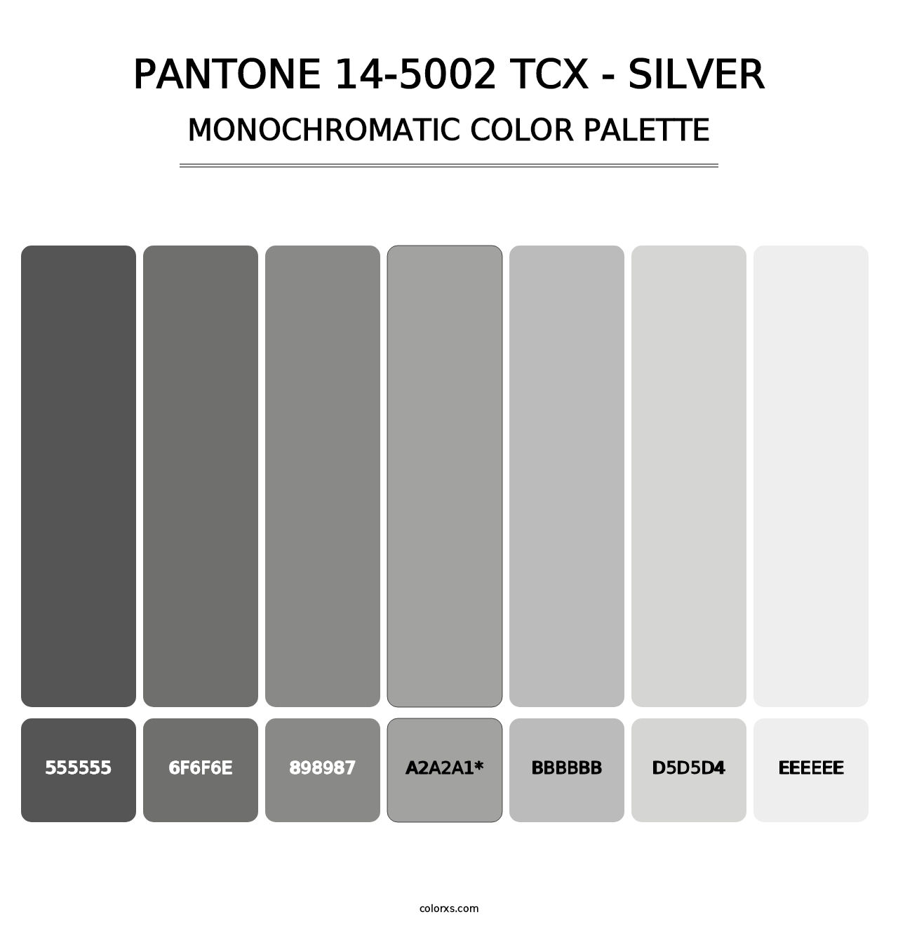 PANTONE 14-5002 TCX - Silver - Monochromatic Color Palette