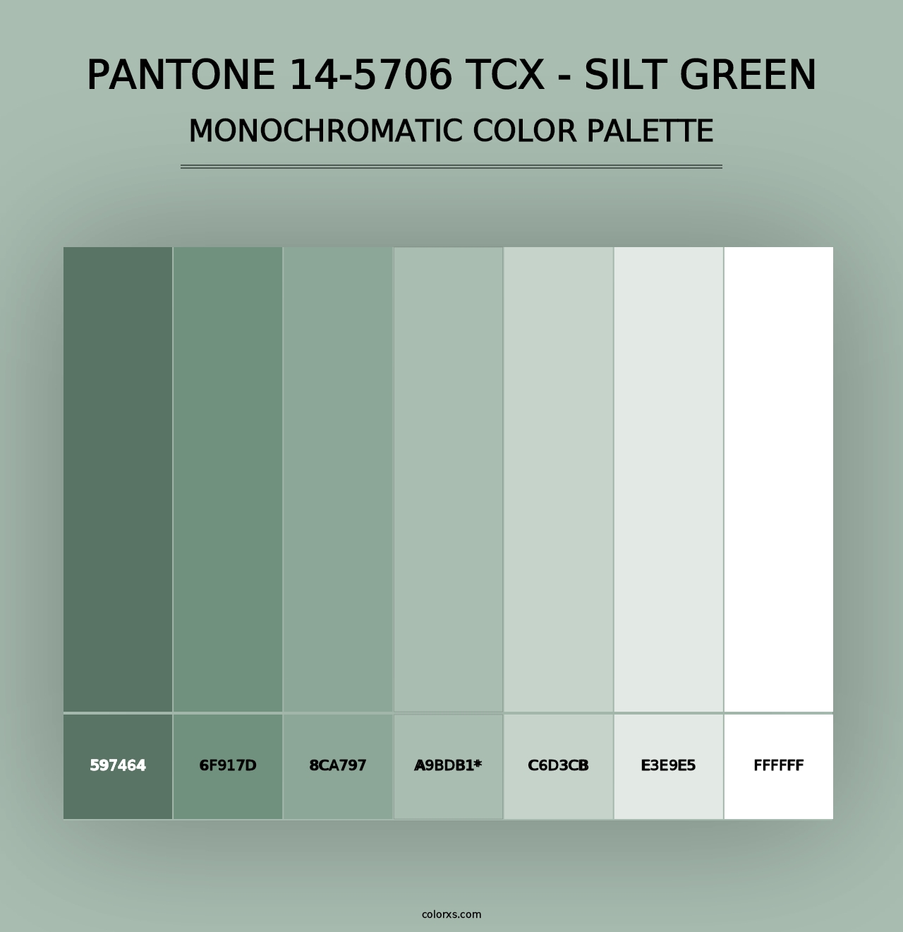 PANTONE 14-5706 TCX - Silt Green - Monochromatic Color Palette