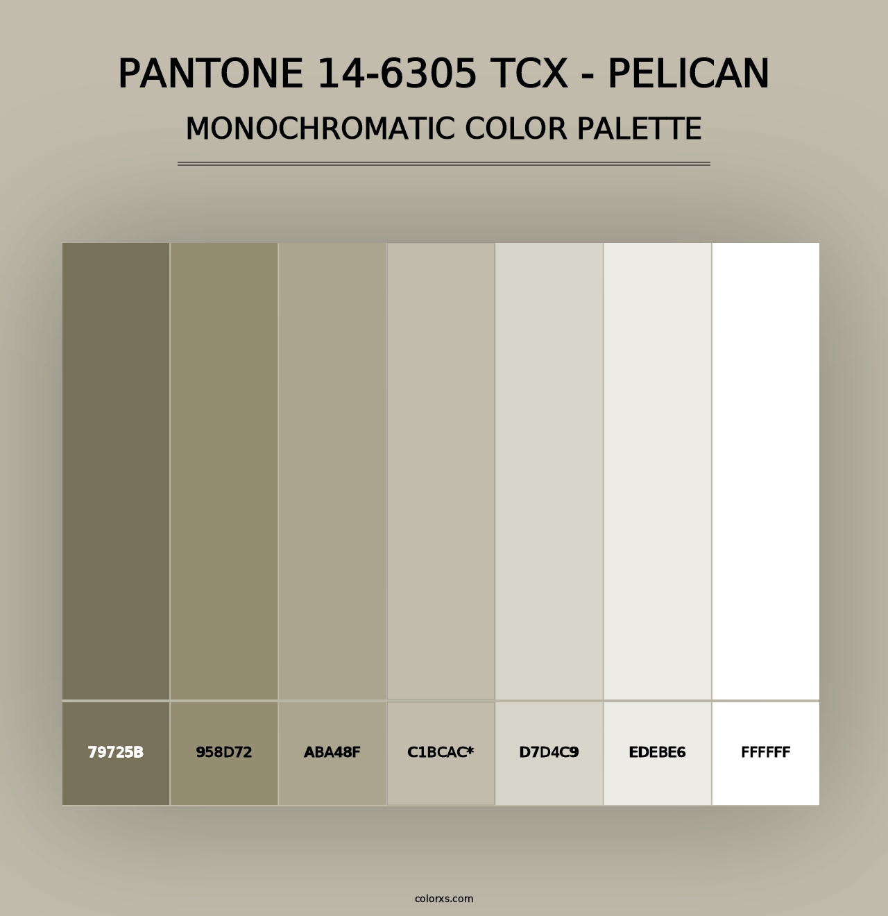 PANTONE 14-6305 TCX - Pelican - Monochromatic Color Palette