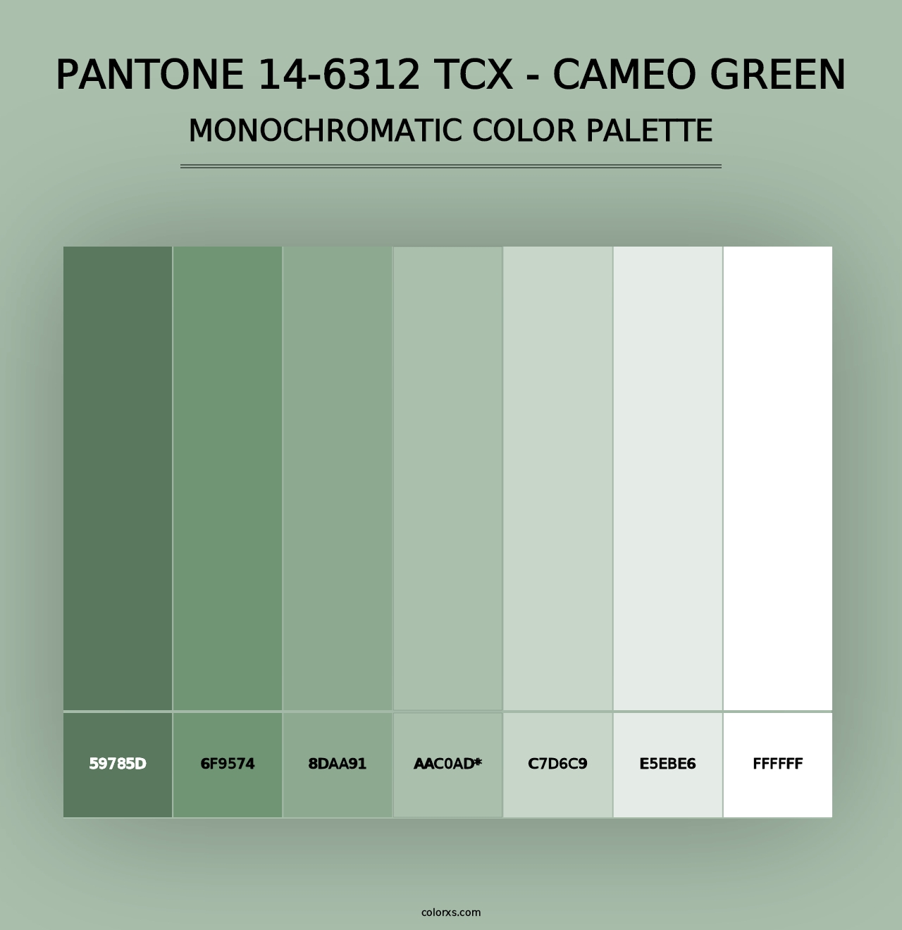 PANTONE 14-6312 TCX - Cameo Green - Monochromatic Color Palette