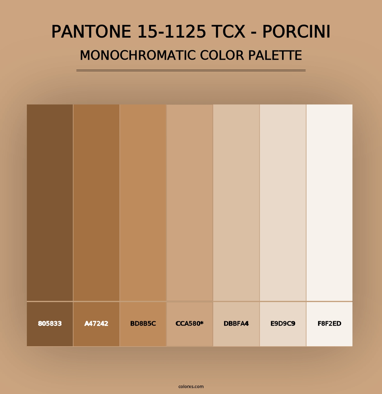 PANTONE 15-1125 TCX - Porcini - Monochromatic Color Palette