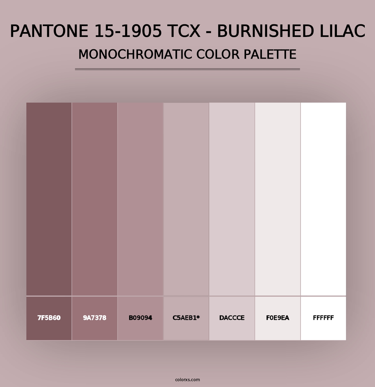 PANTONE 15-1905 TCX - Burnished Lilac - Monochromatic Color Palette