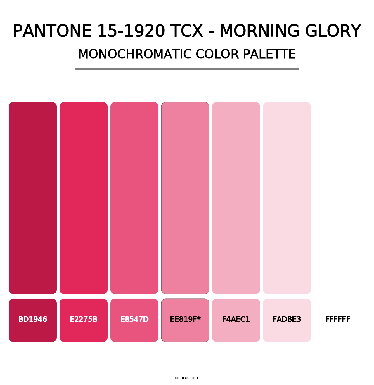 PANTONE 15-1920 TCX - Morning Glory - Monochromatic Color Palette