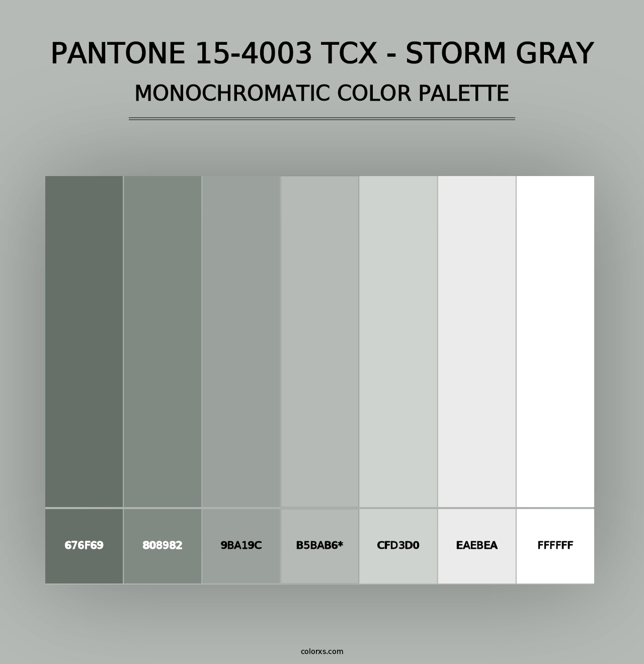 PANTONE 15-4003 TCX - Storm Gray - Monochromatic Color Palette