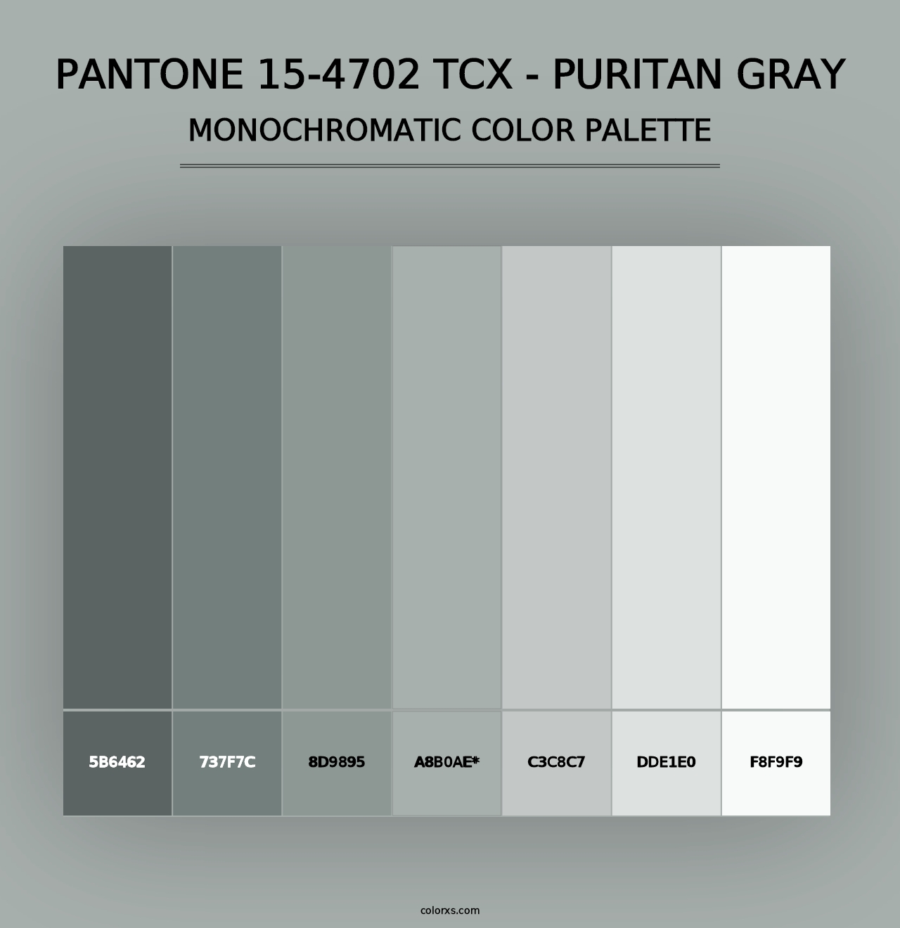 PANTONE 15-4702 TCX - Puritan Gray - Monochromatic Color Palette