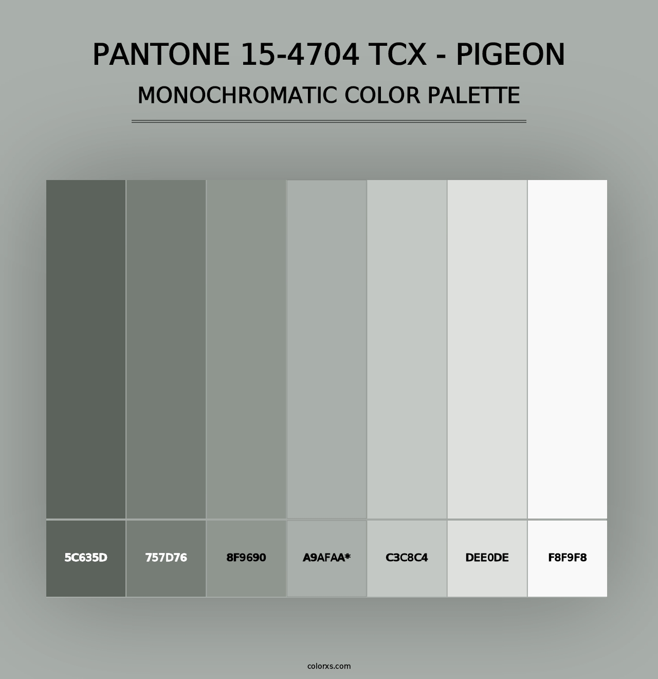 PANTONE 15-4704 TCX - Pigeon - Monochromatic Color Palette