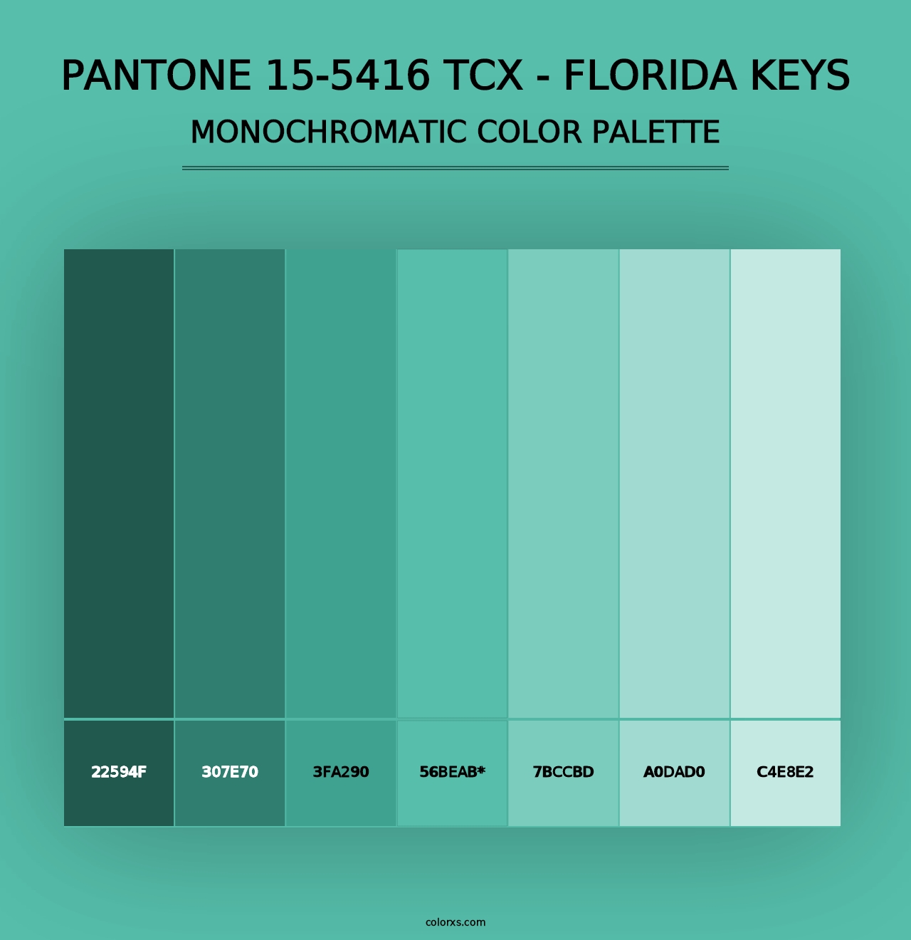 PANTONE 15-5416 TCX - Florida Keys - Monochromatic Color Palette