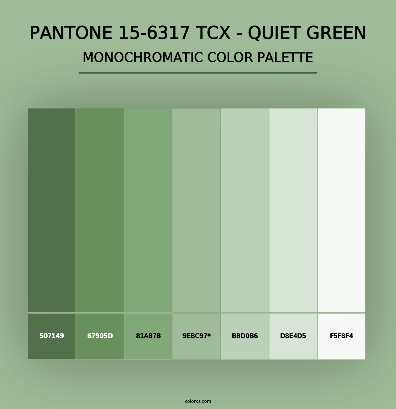 PANTONE 15-6317 TCX - Quiet Green - Monochromatic Color Palette