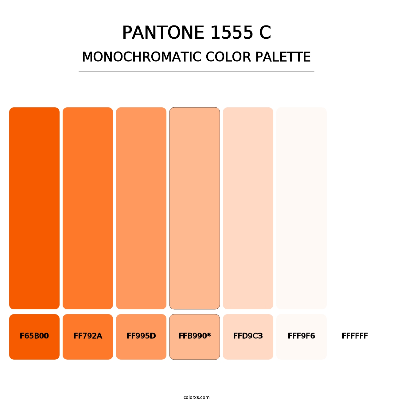 PANTONE 1555 C - Monochromatic Color Palette