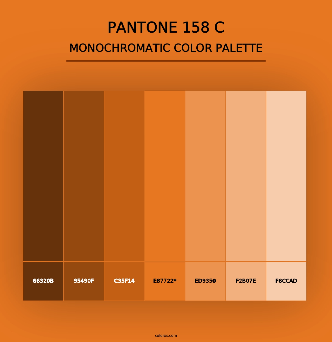 PANTONE 158 C - Monochromatic Color Palette