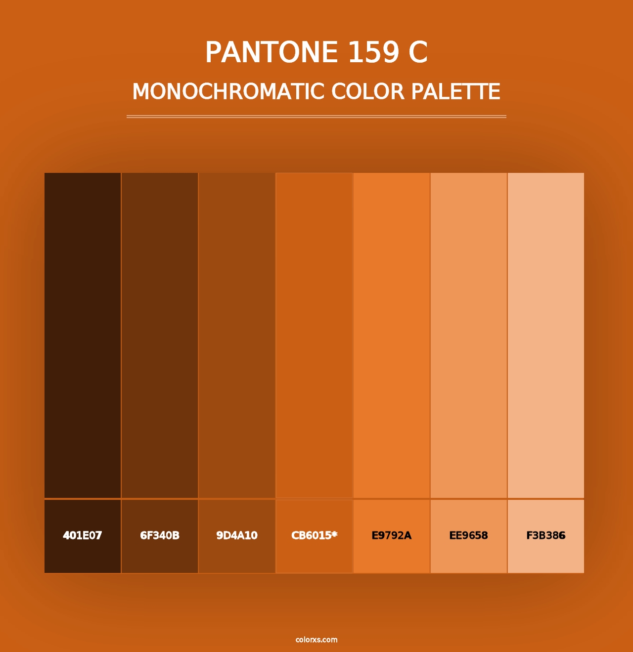 PANTONE 159 C - Monochromatic Color Palette