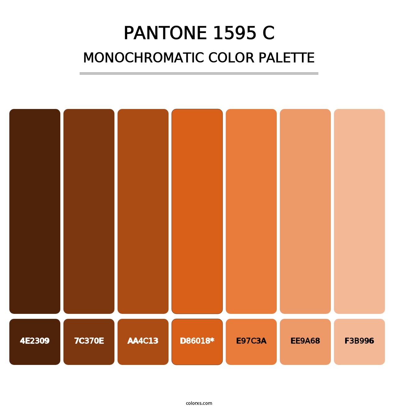 PANTONE 1595 C - Monochromatic Color Palette