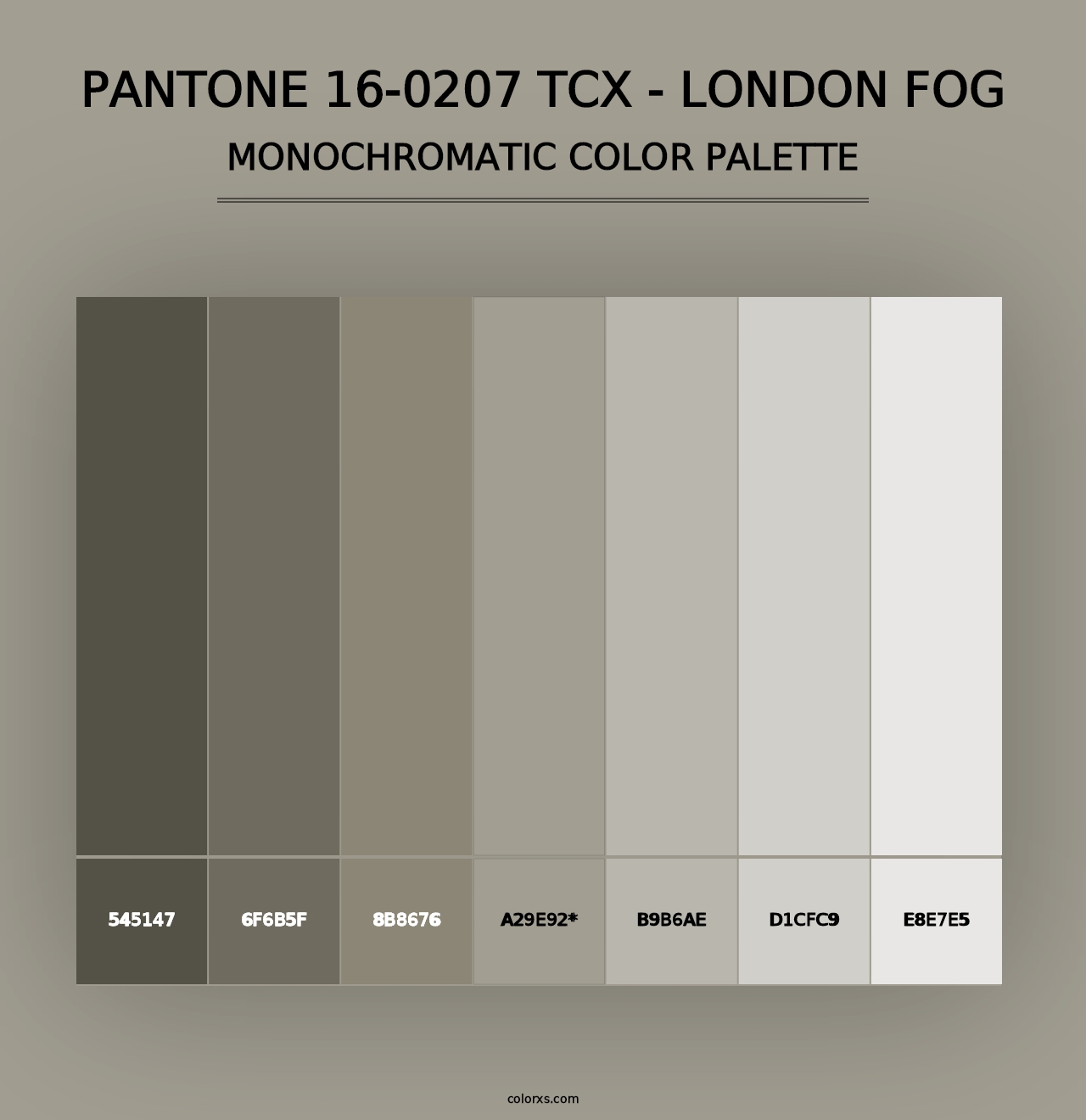 PANTONE 16-0207 TCX - London Fog - Monochromatic Color Palette