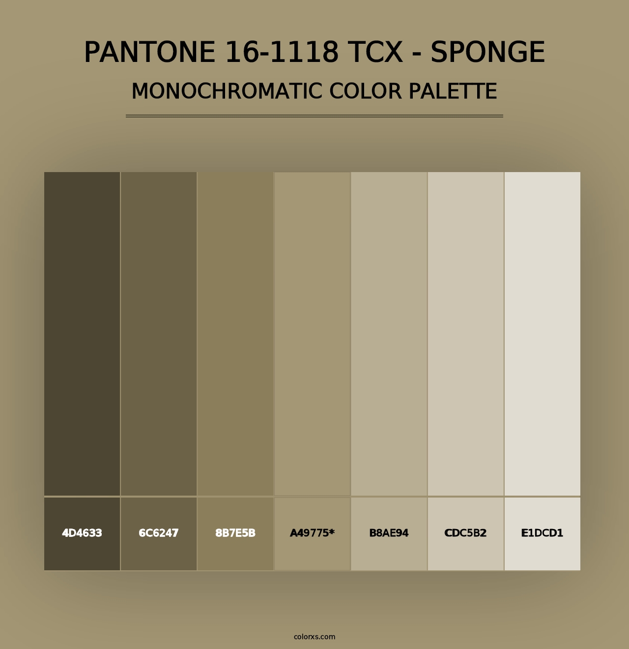 PANTONE 16-1118 TCX - Sponge - Monochromatic Color Palette