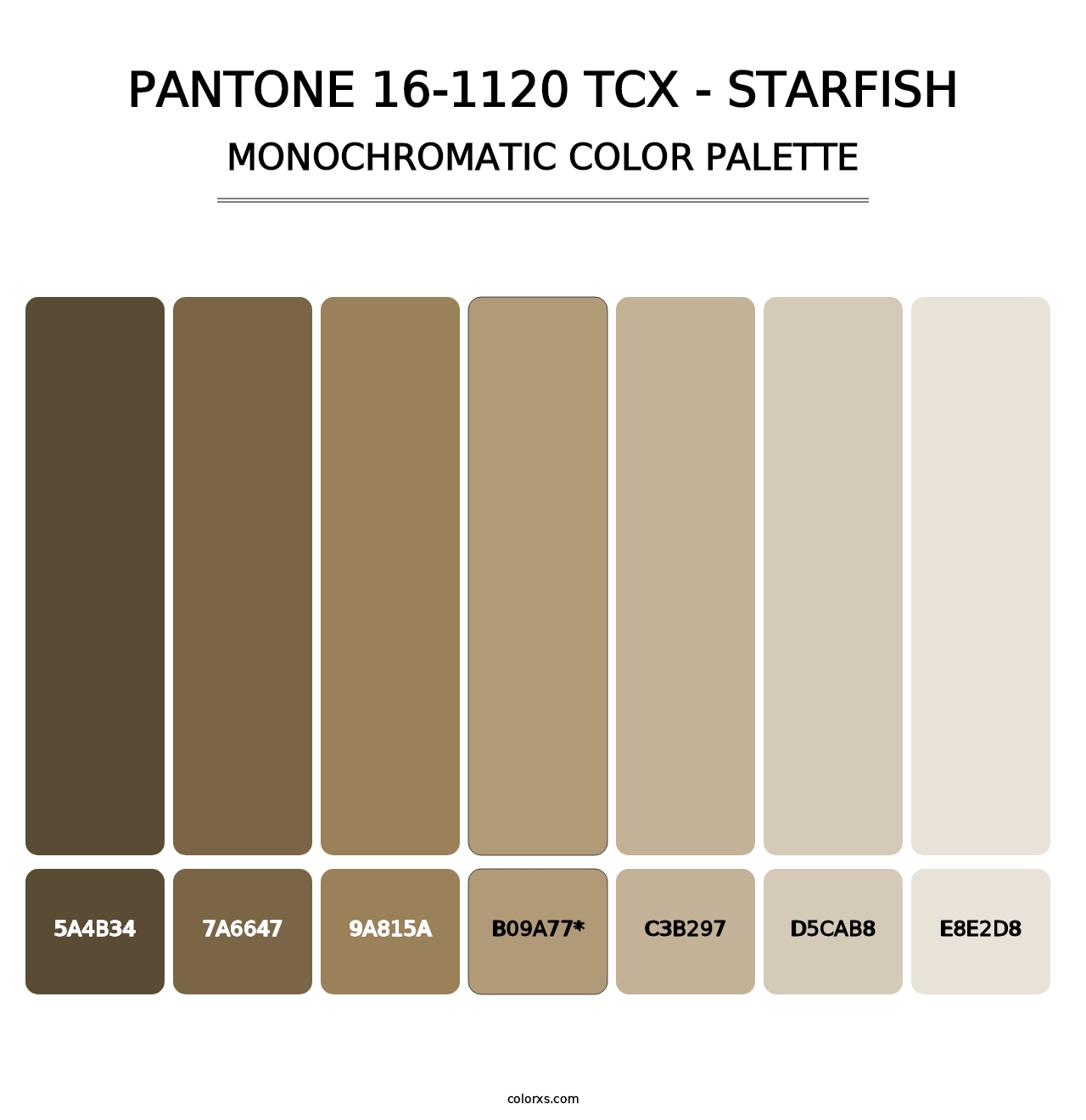 PANTONE 16-1120 TCX - Starfish - Monochromatic Color Palette