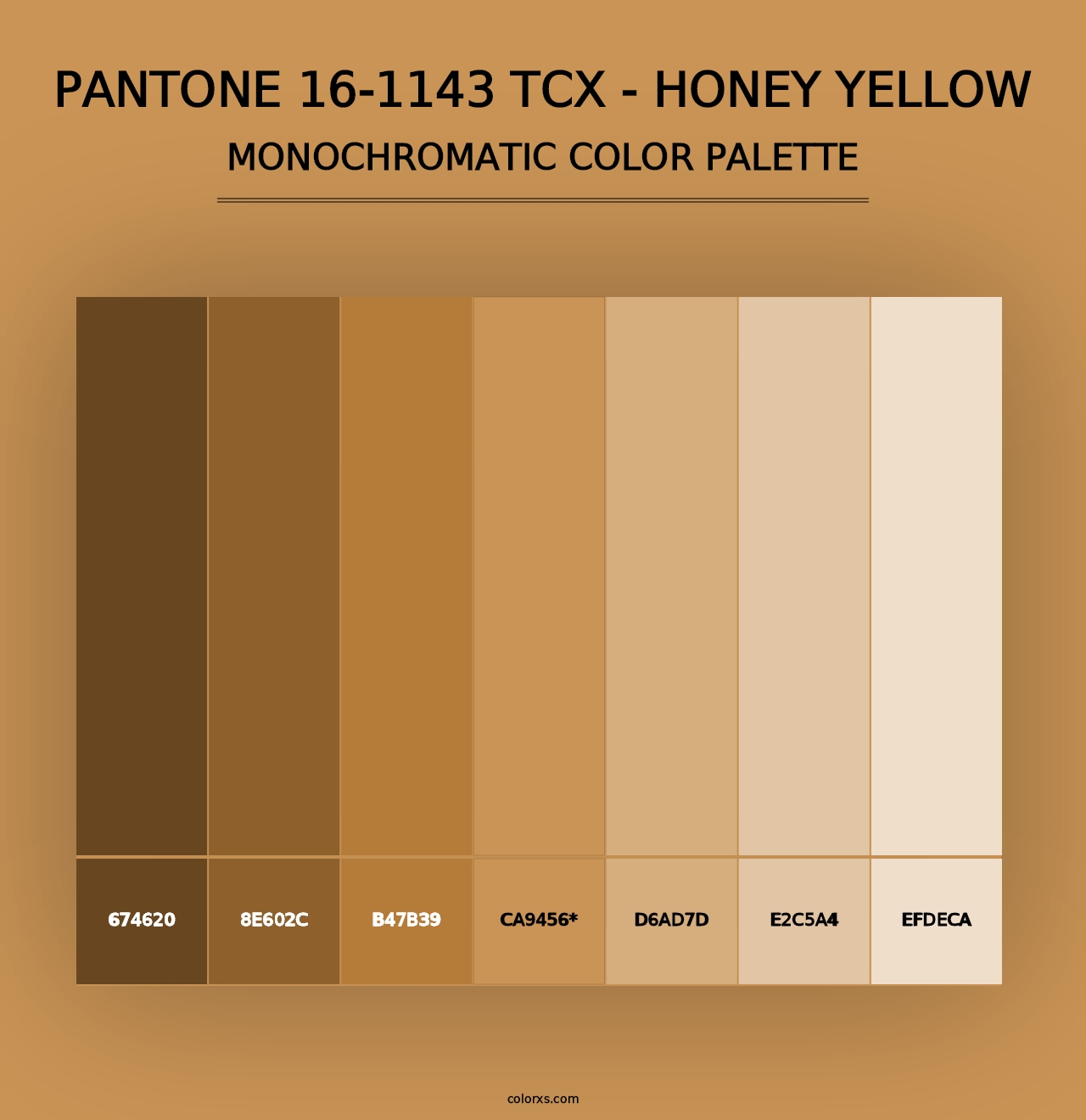 PANTONE 16-1143 TCX - Honey Yellow - Monochromatic Color Palette