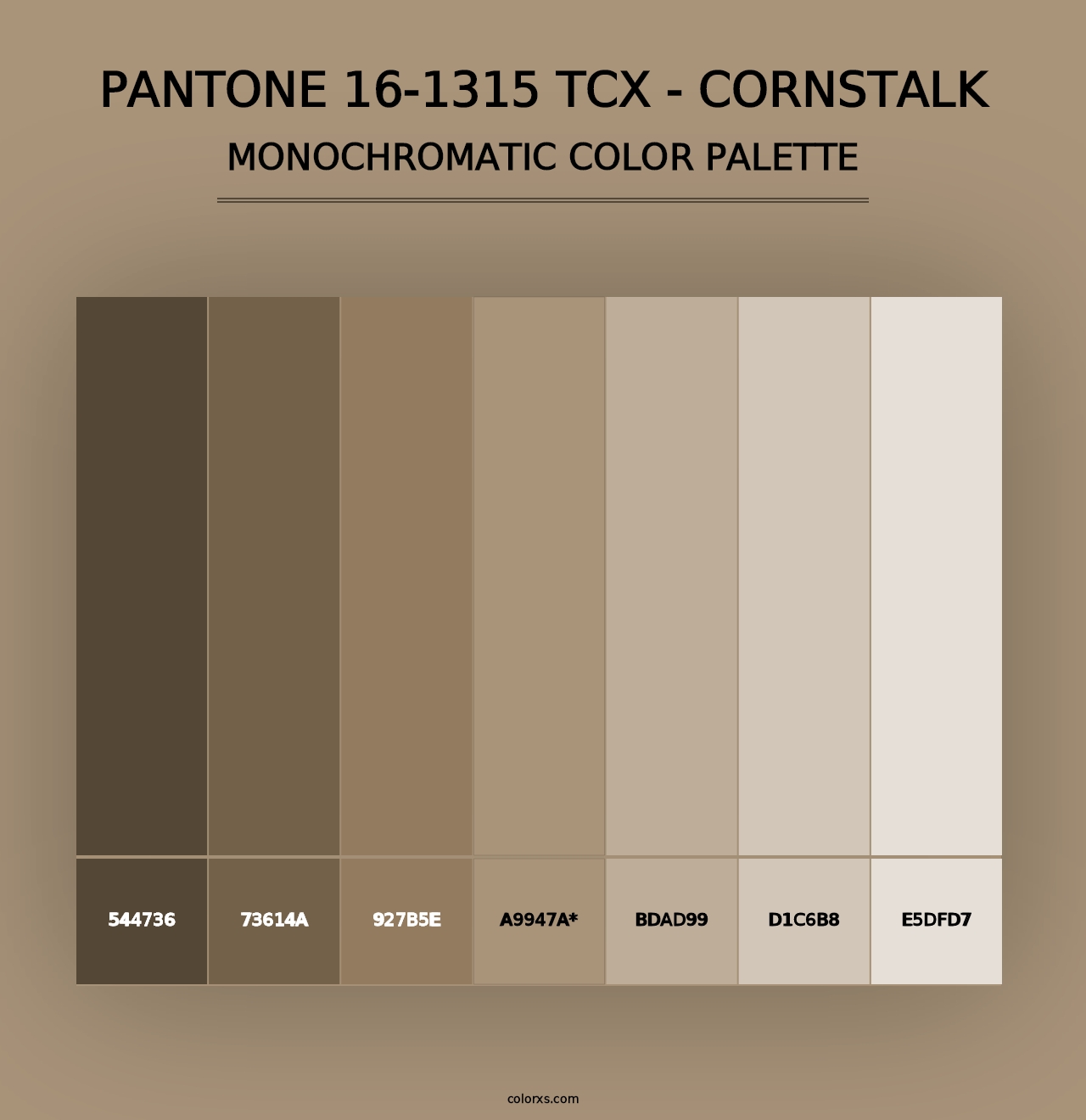 PANTONE 16-1315 TCX - Cornstalk - Monochromatic Color Palette