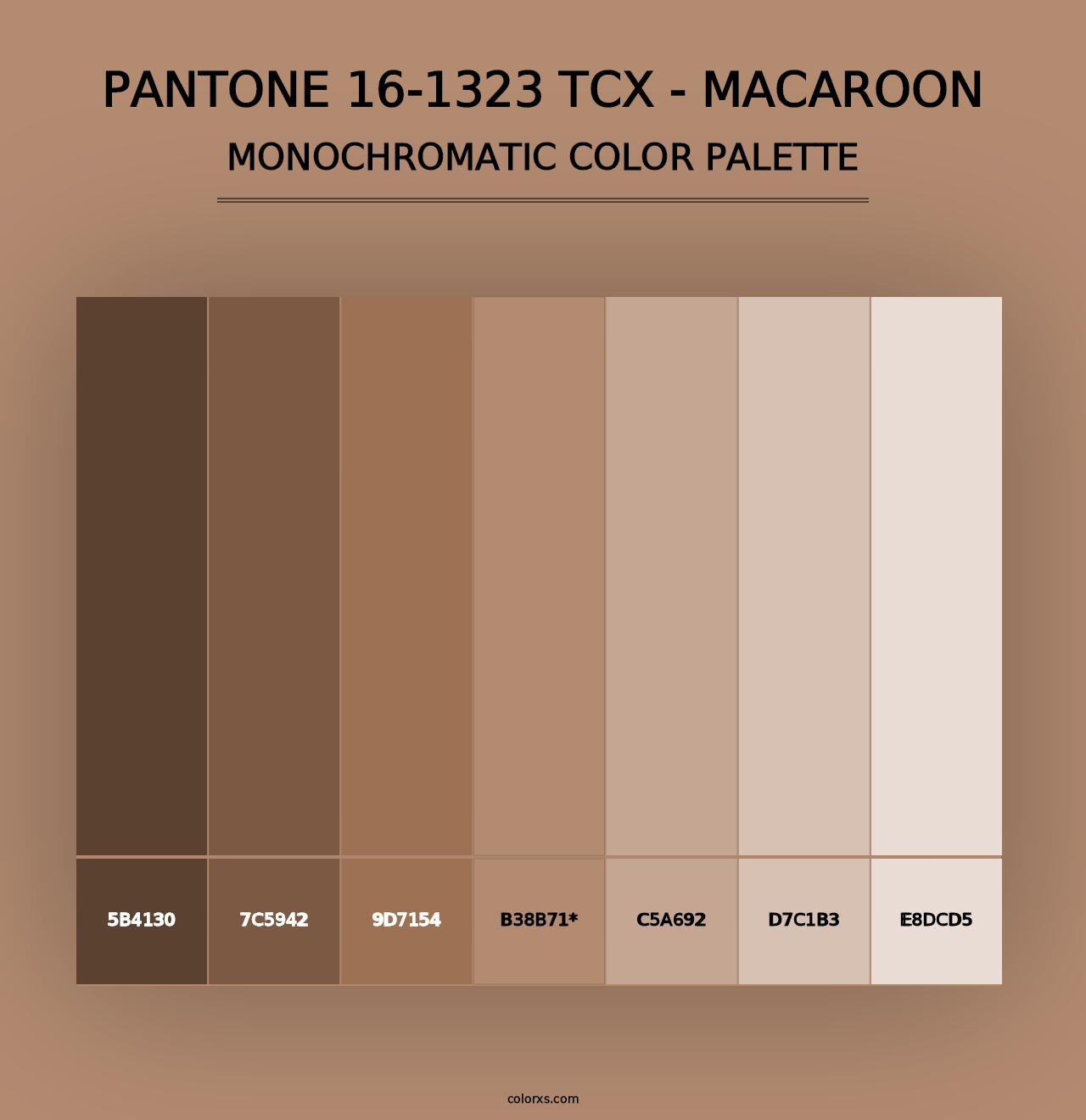 PANTONE 16-1323 TCX - Macaroon - Monochromatic Color Palette