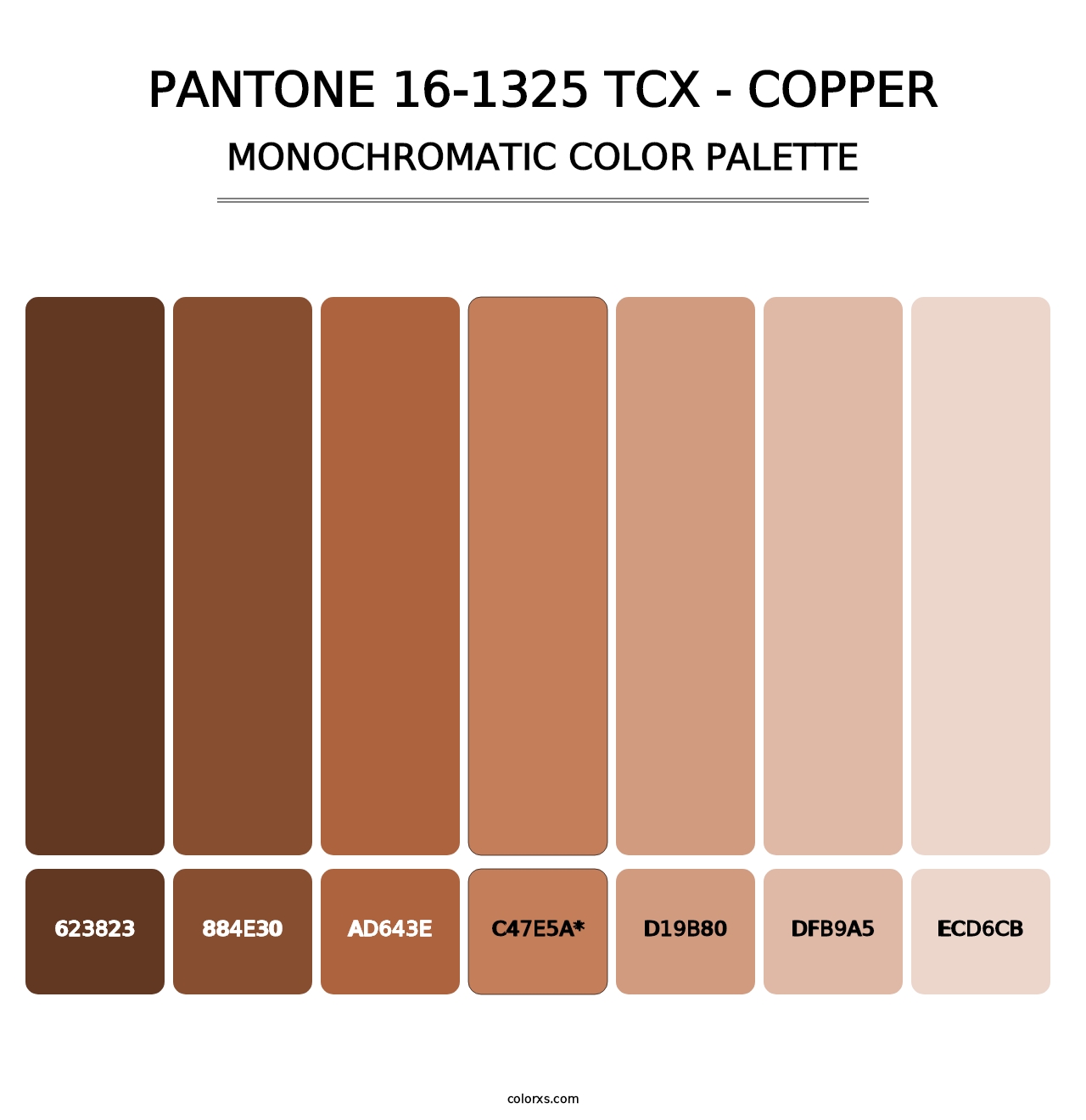 PANTONE 16-1325 TCX - Copper - Monochromatic Color Palette