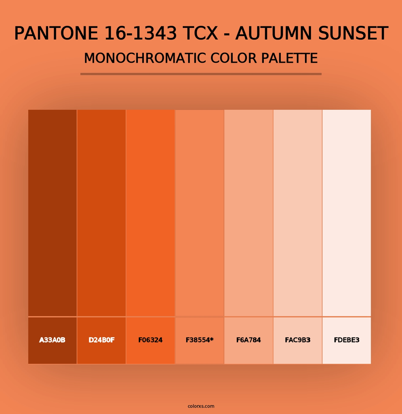 PANTONE 16-1343 TCX - Autumn Sunset - Monochromatic Color Palette